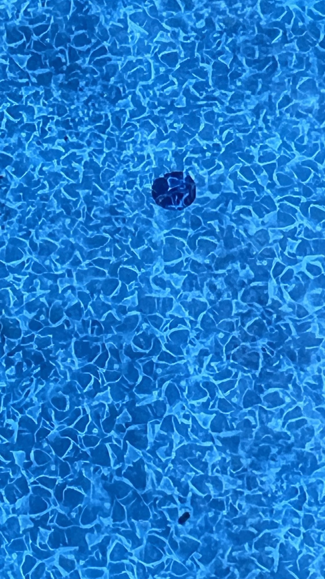 IMG_3753.jpeg