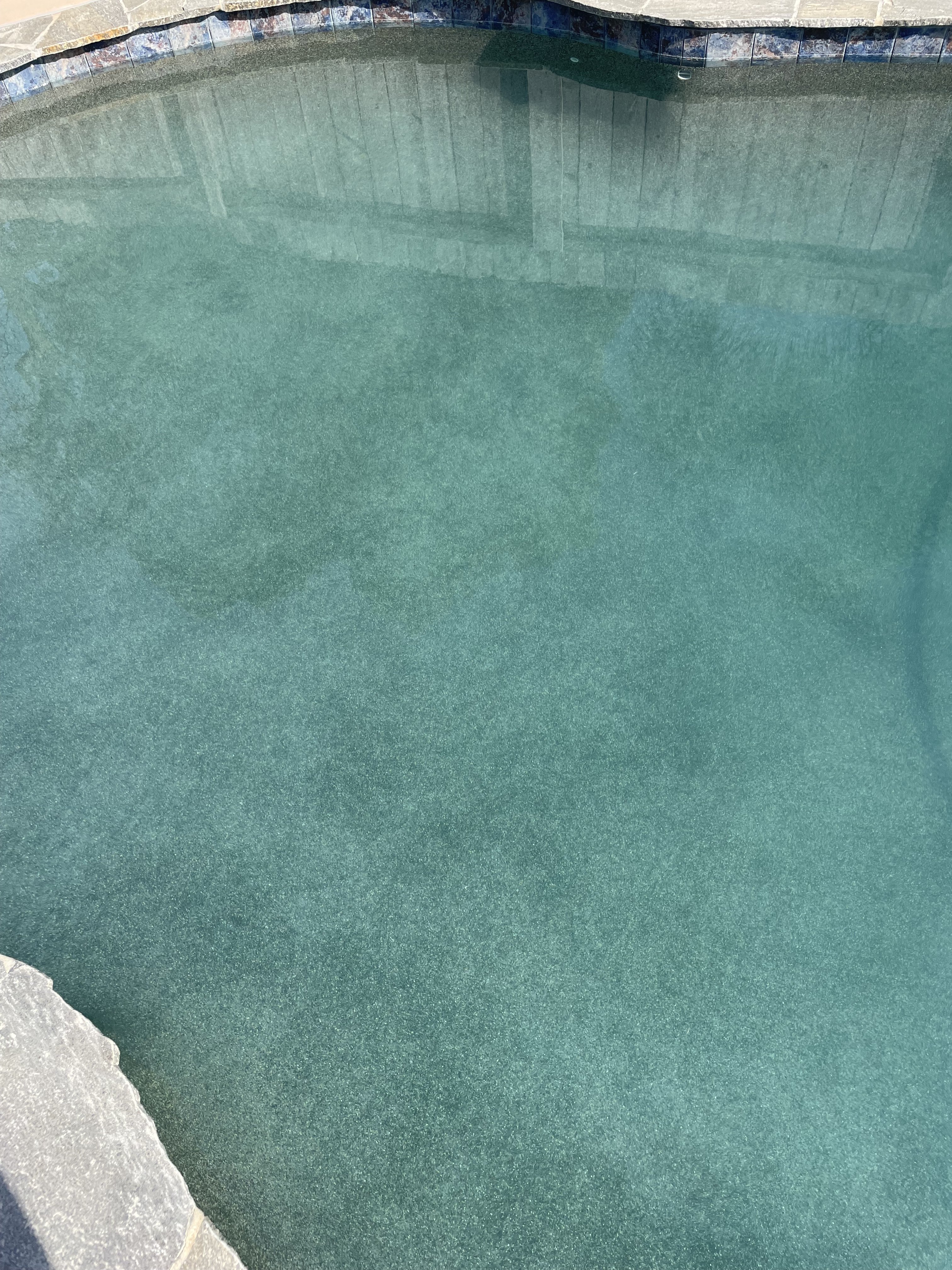 IMG_3776.jpeg