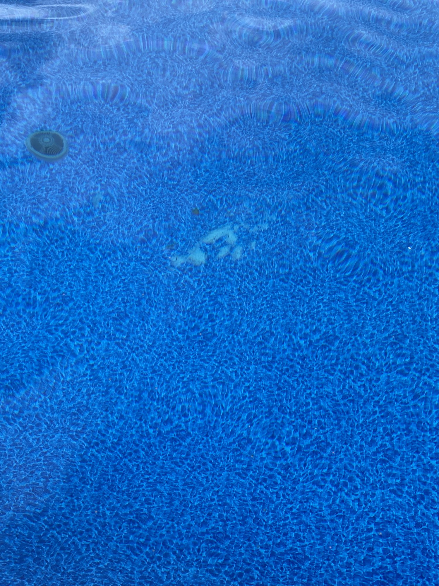IMG_3791.jpeg