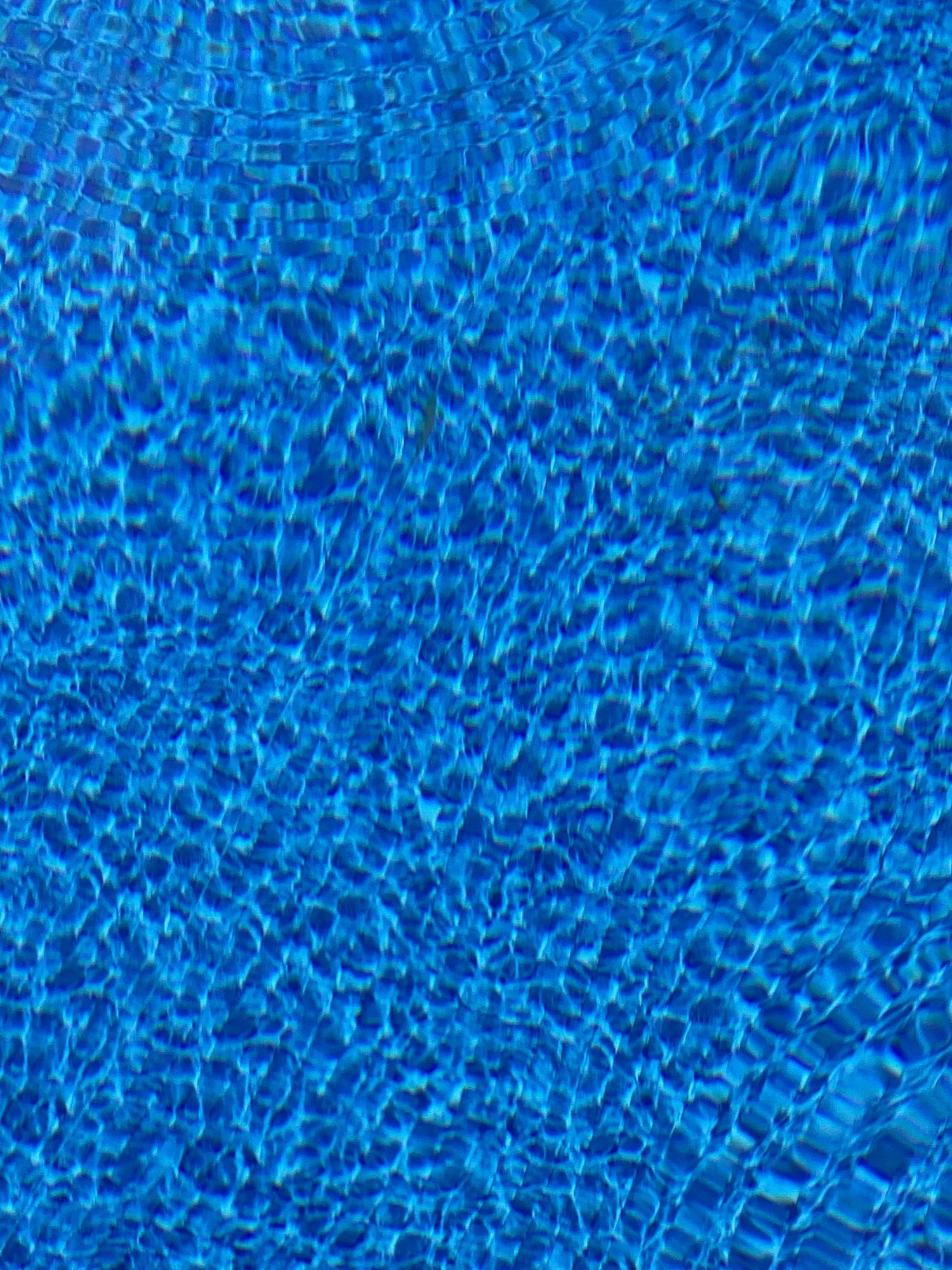 IMG_3794.jpeg