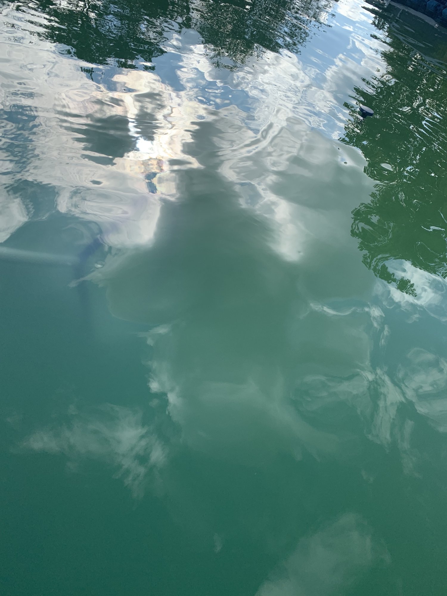 IMG_3803.jpeg