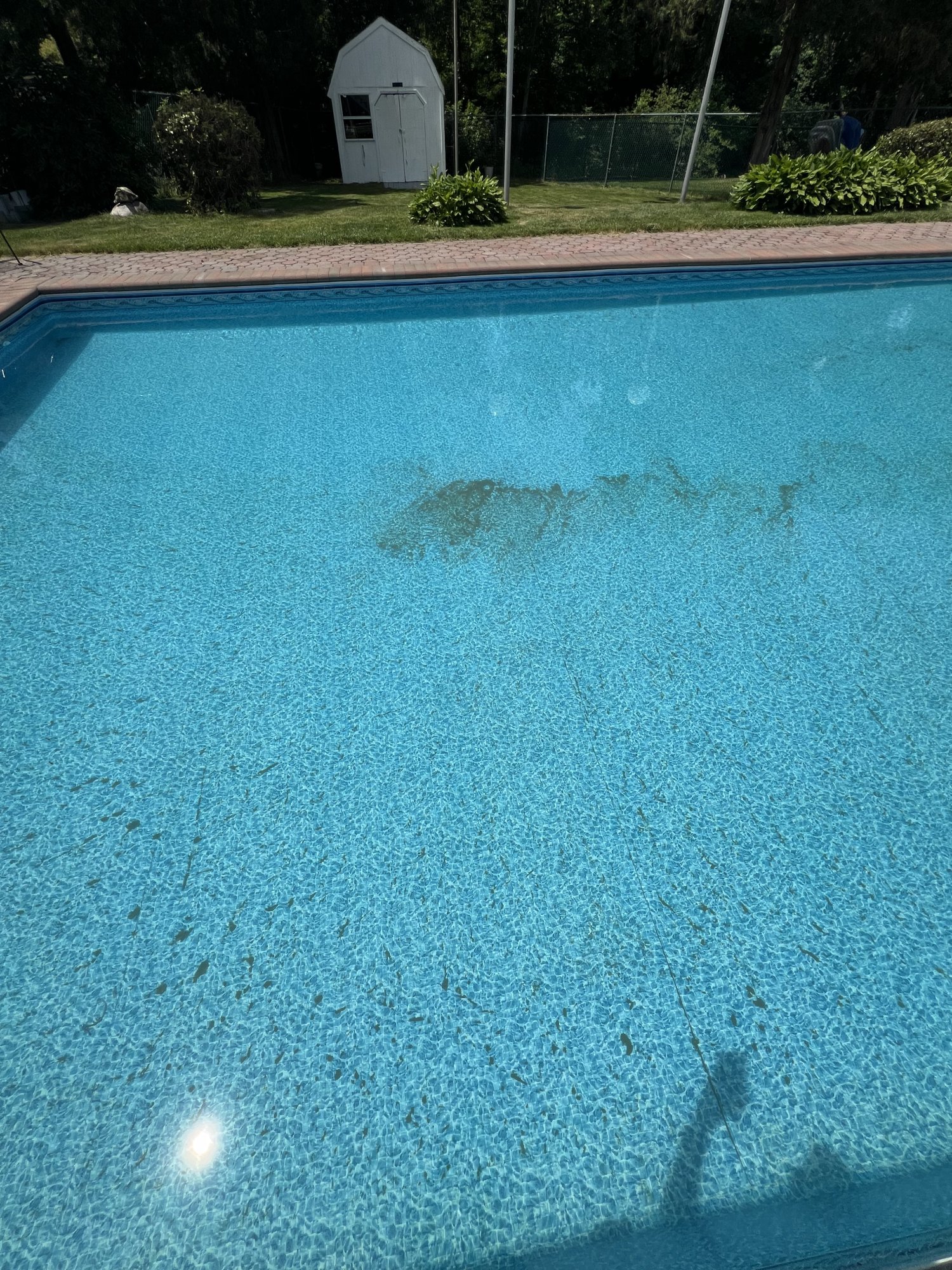 IMG_3982.jpeg