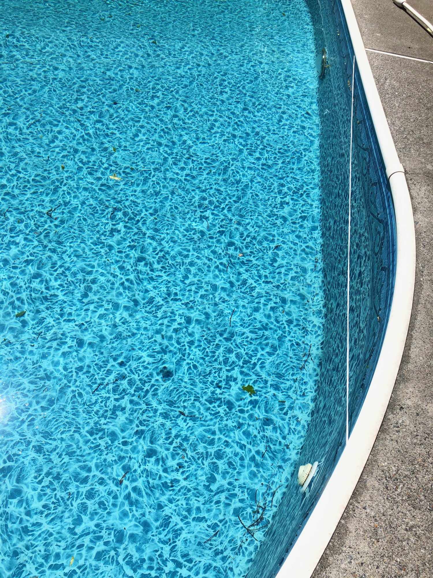 IMG_3998.jpeg