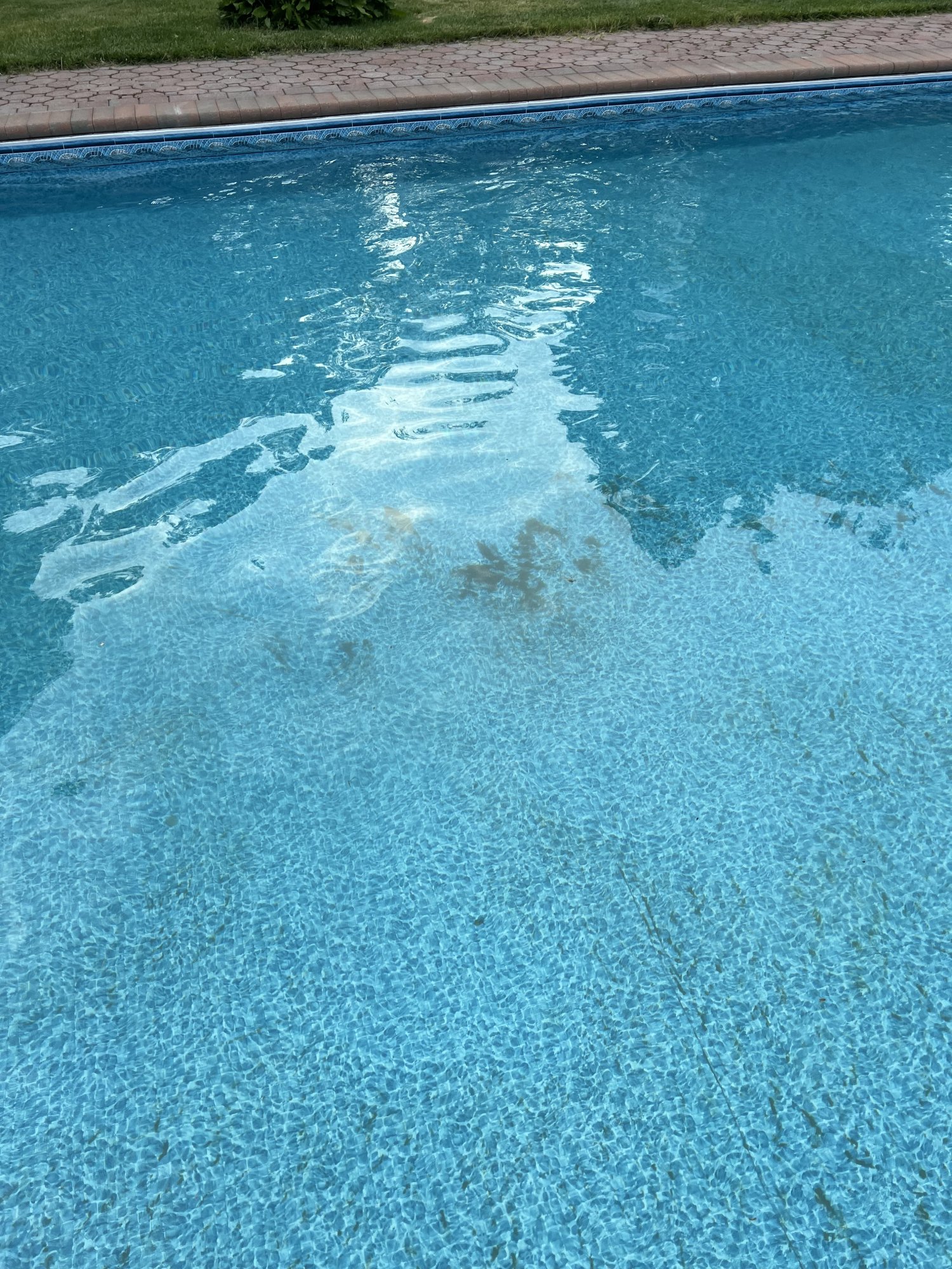 IMG_4002.jpeg