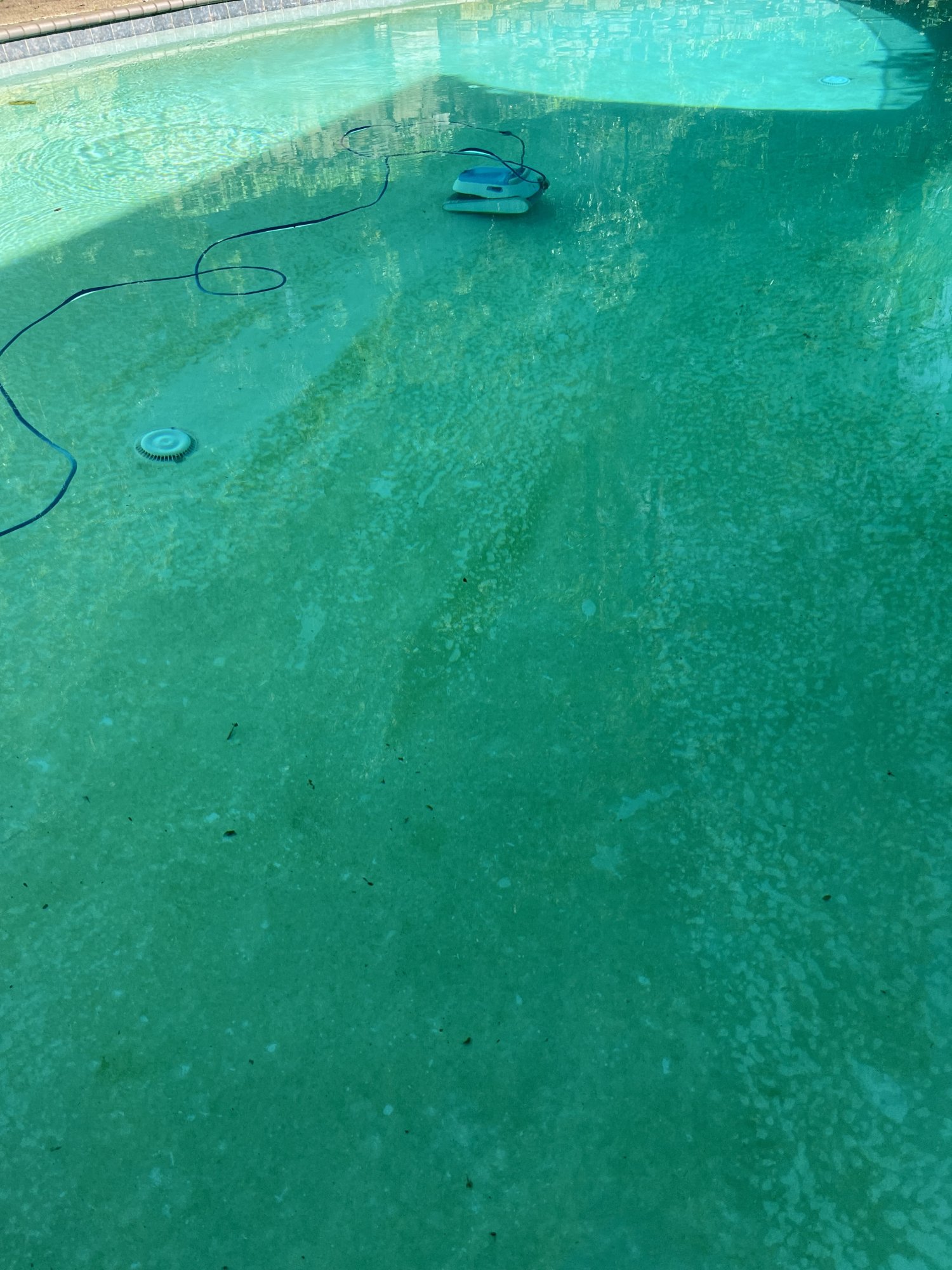 IMG_4014.jpeg