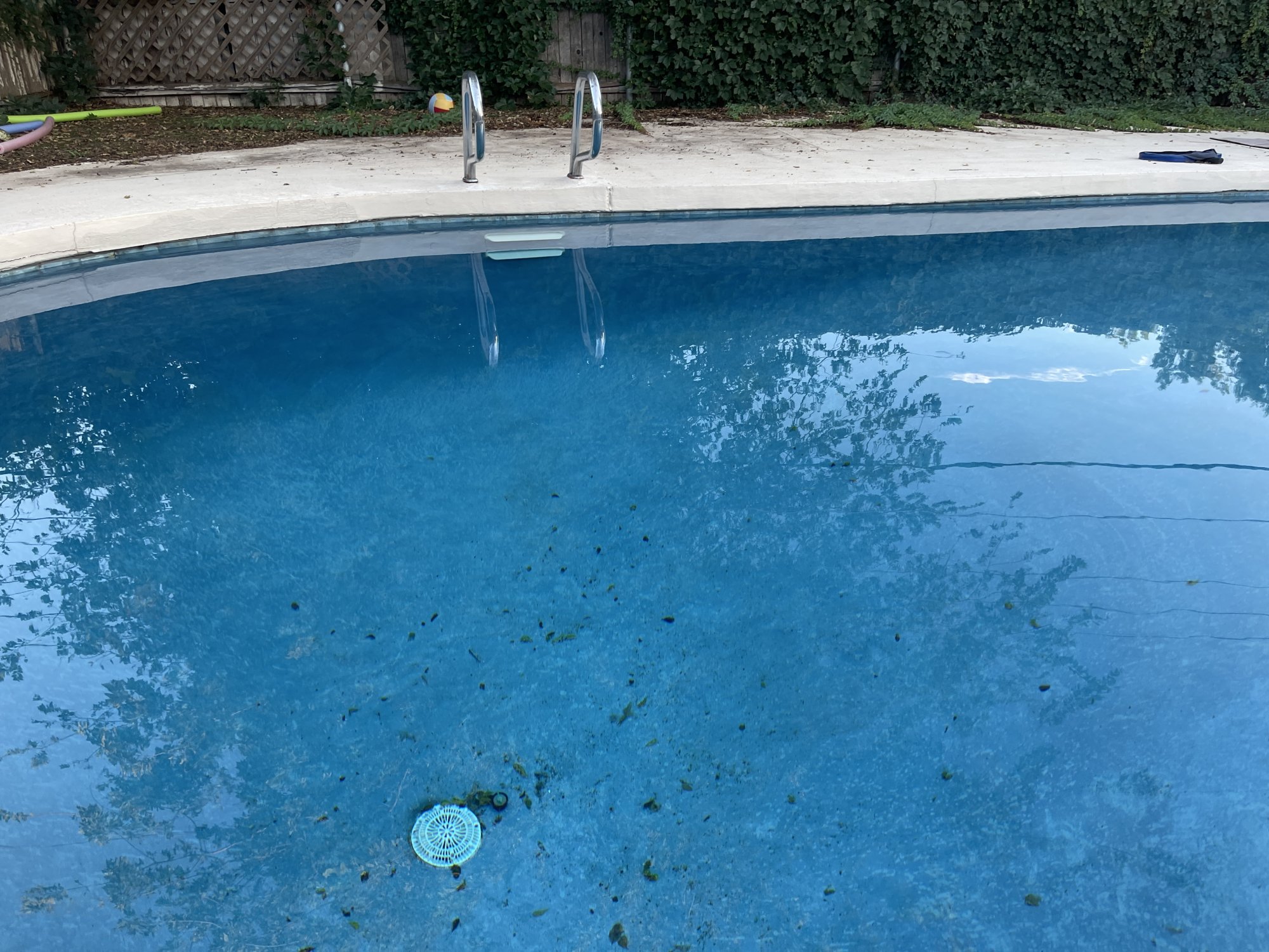 IMG_4024.jpeg