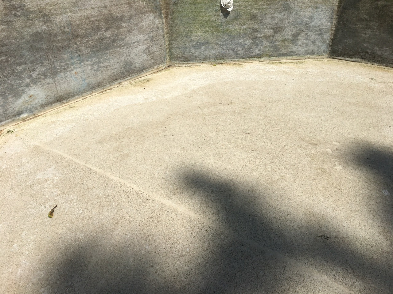 IMG_4232.jpeg