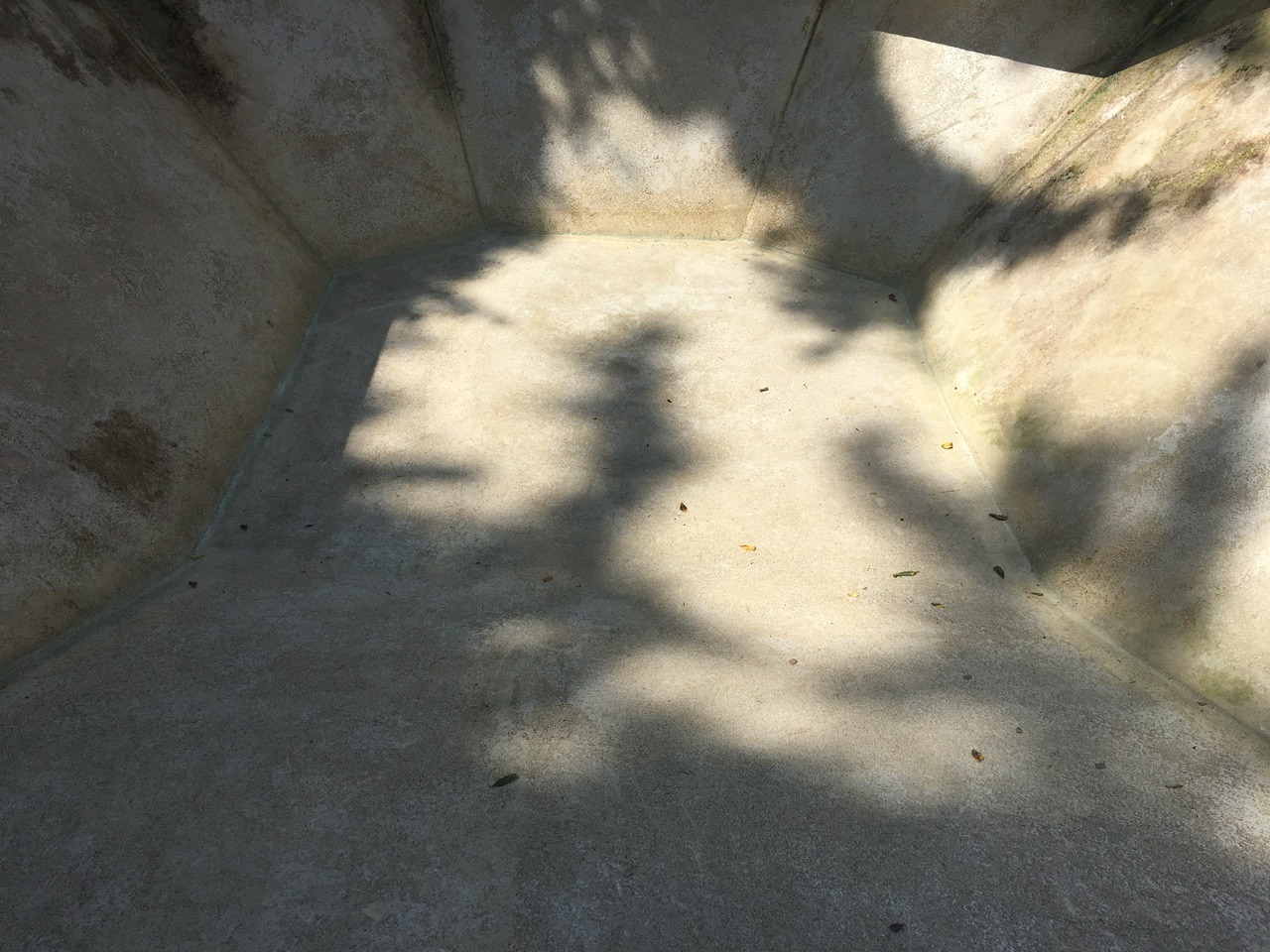 IMG_4233.jpeg