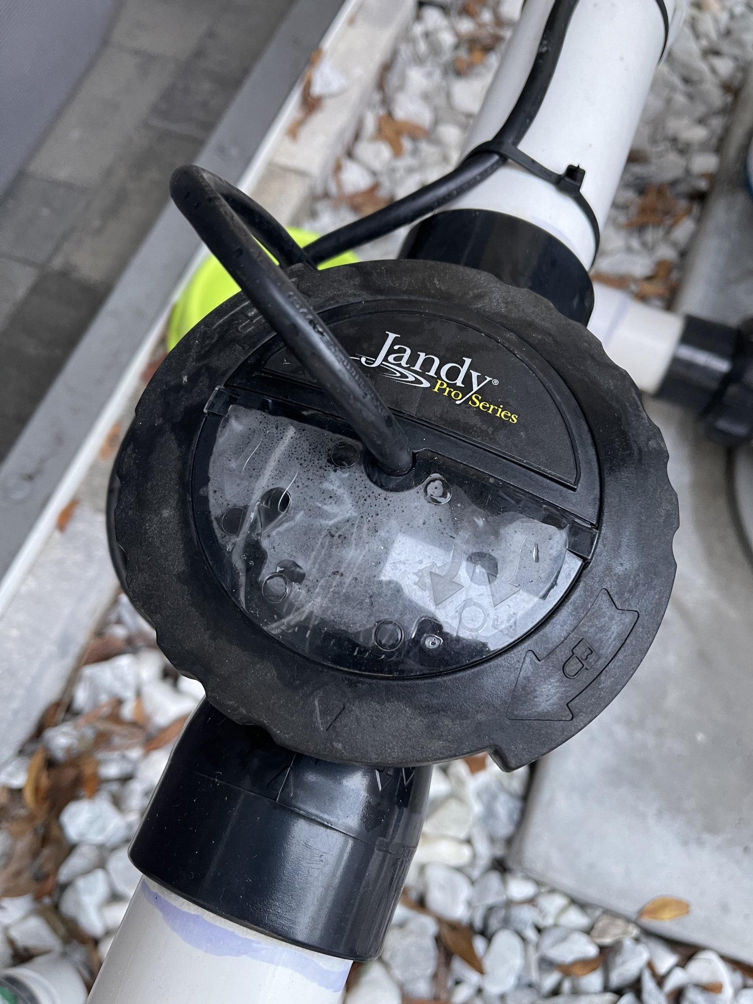 IMG_4302.jpeg