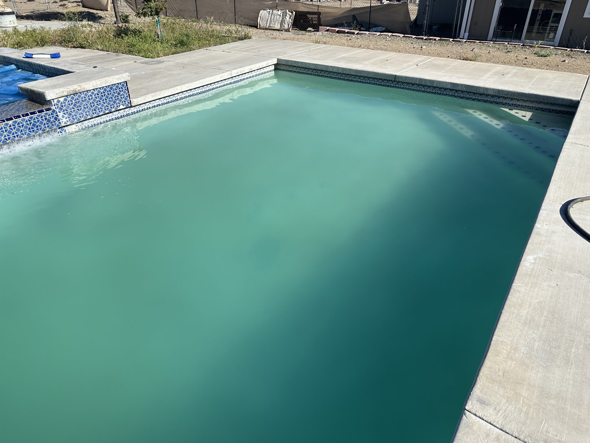 IMG_4361.jpeg