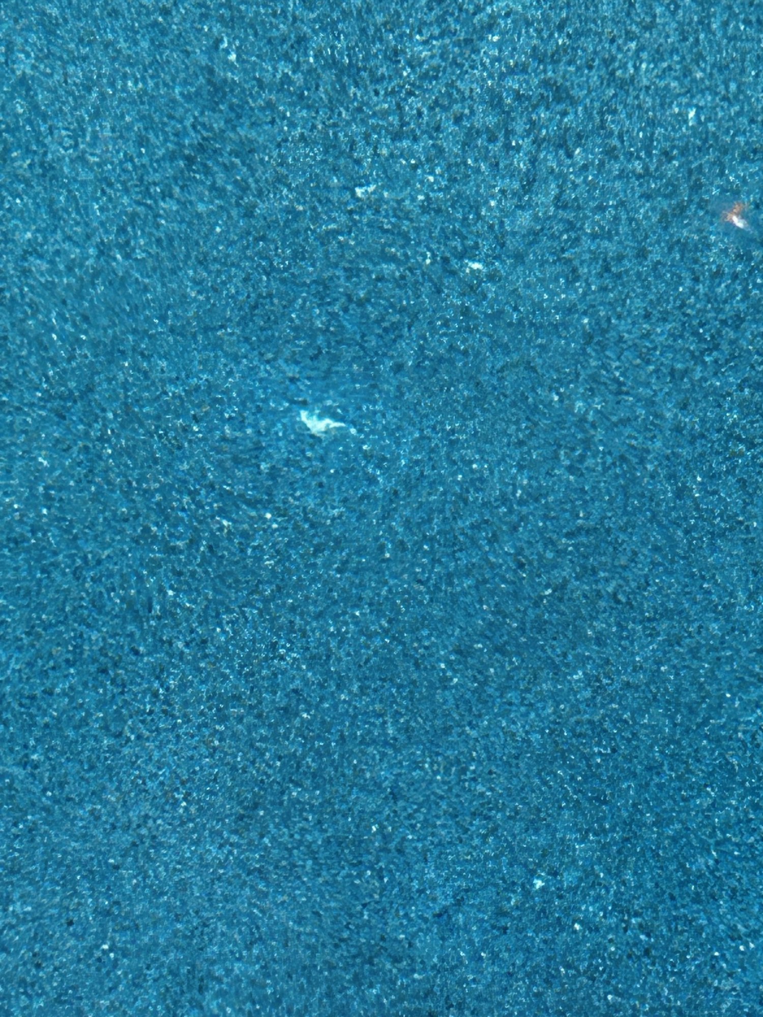 IMG_4376.jpeg