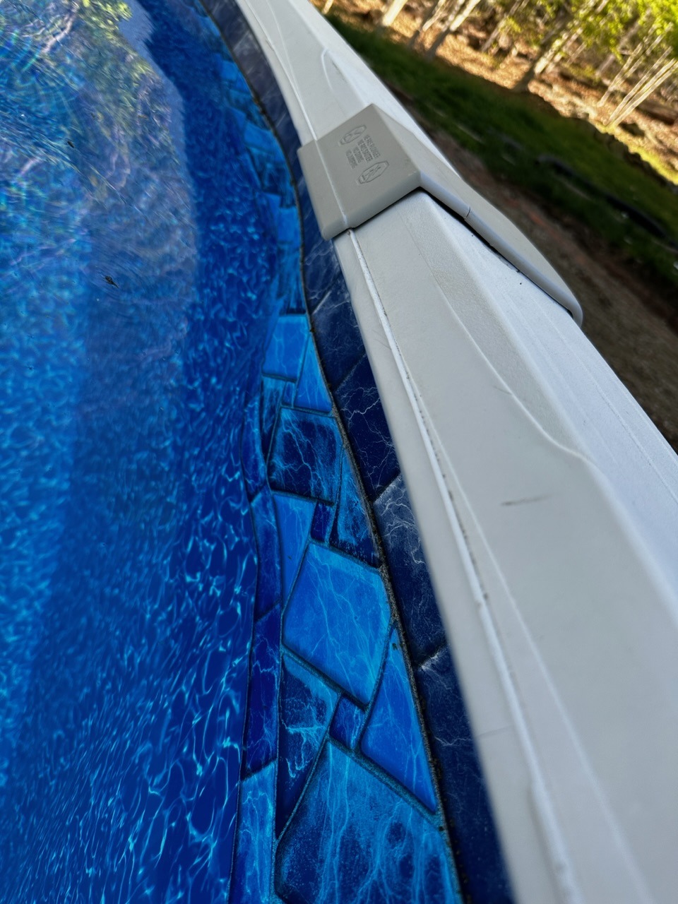 IMG_4379.jpeg