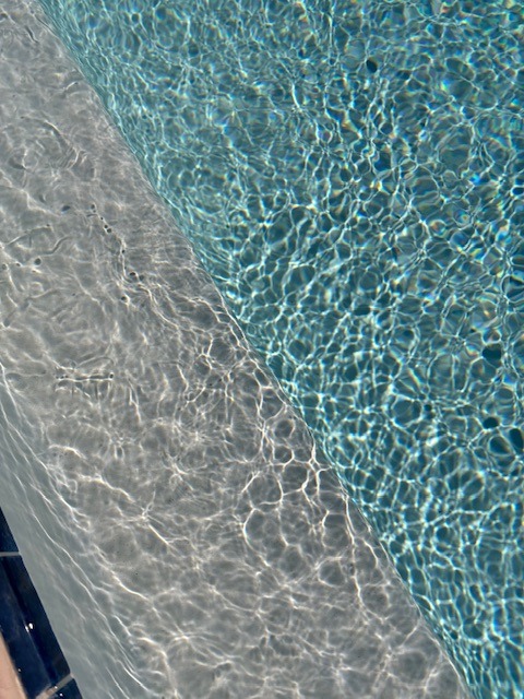 IMG_4548.jpeg