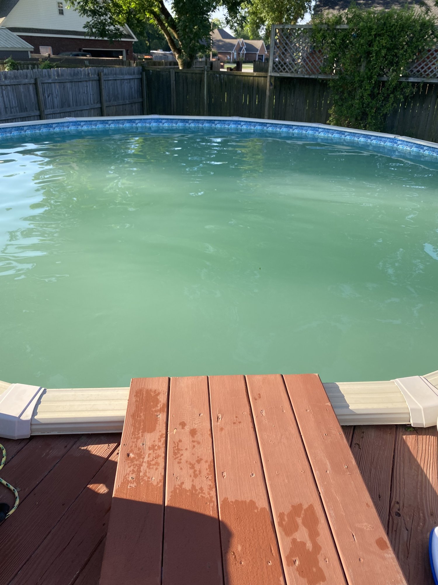 IMG_4566.jpeg