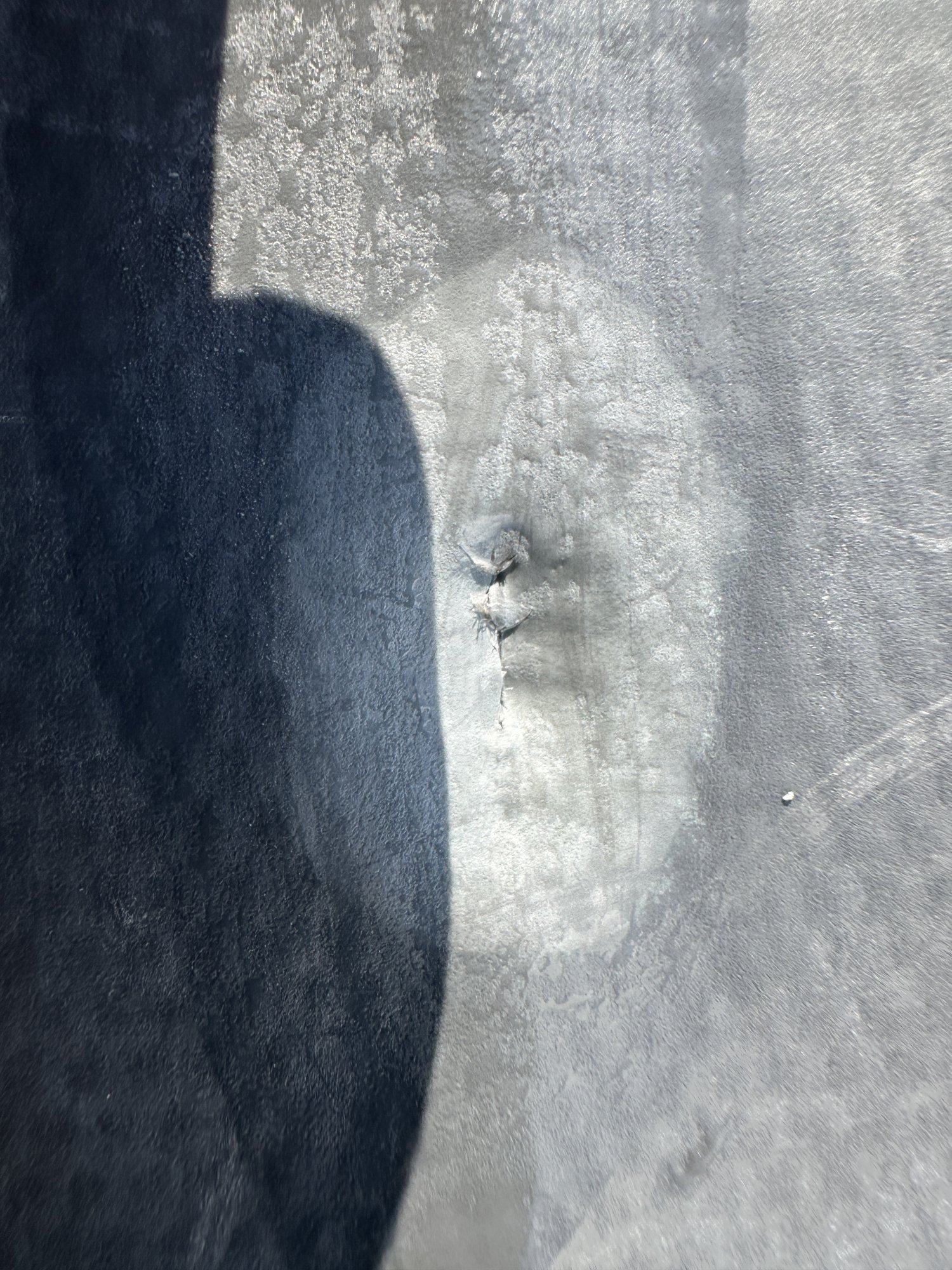 IMG_4572.jpeg
