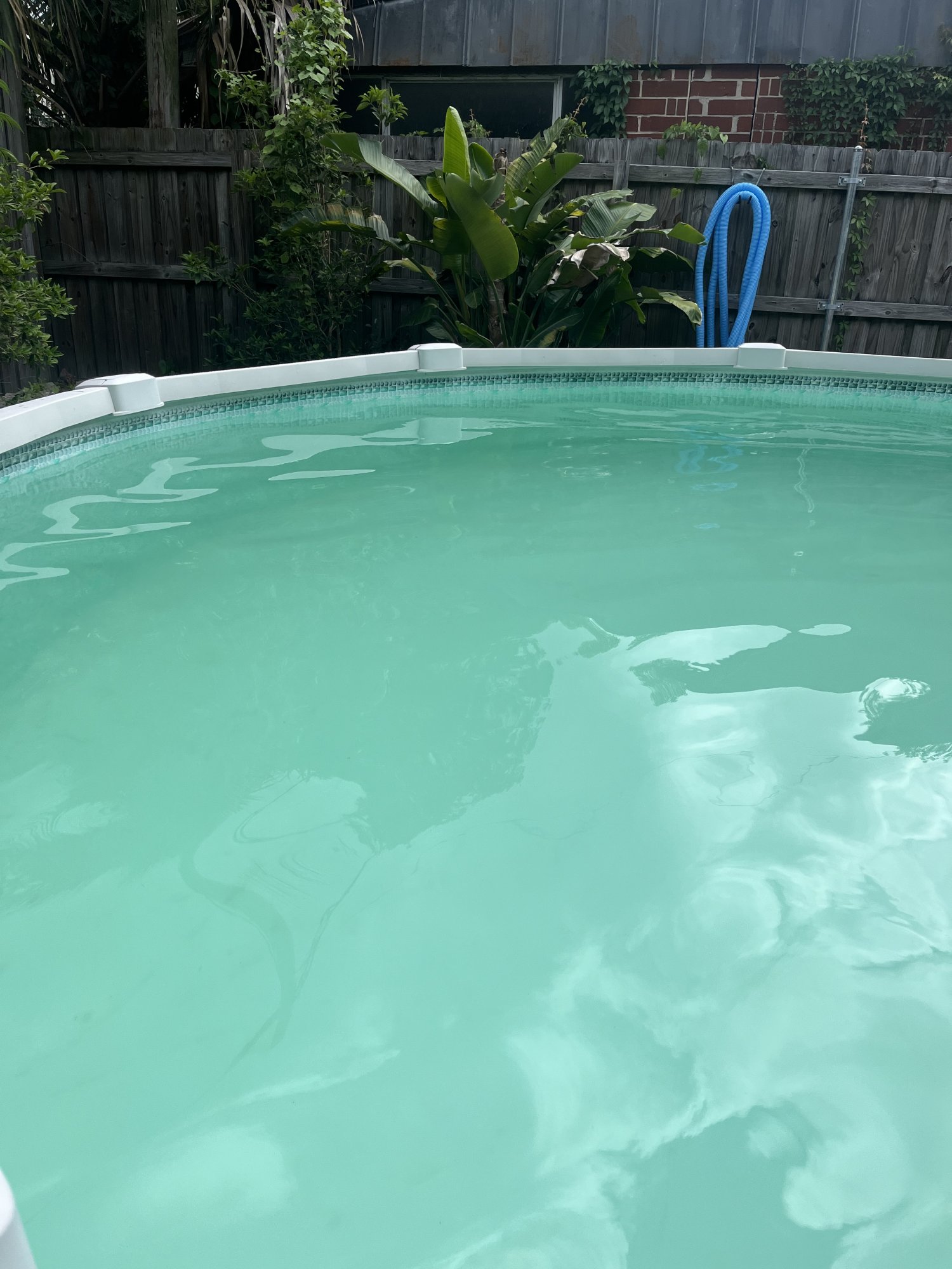 IMG_4905.jpeg