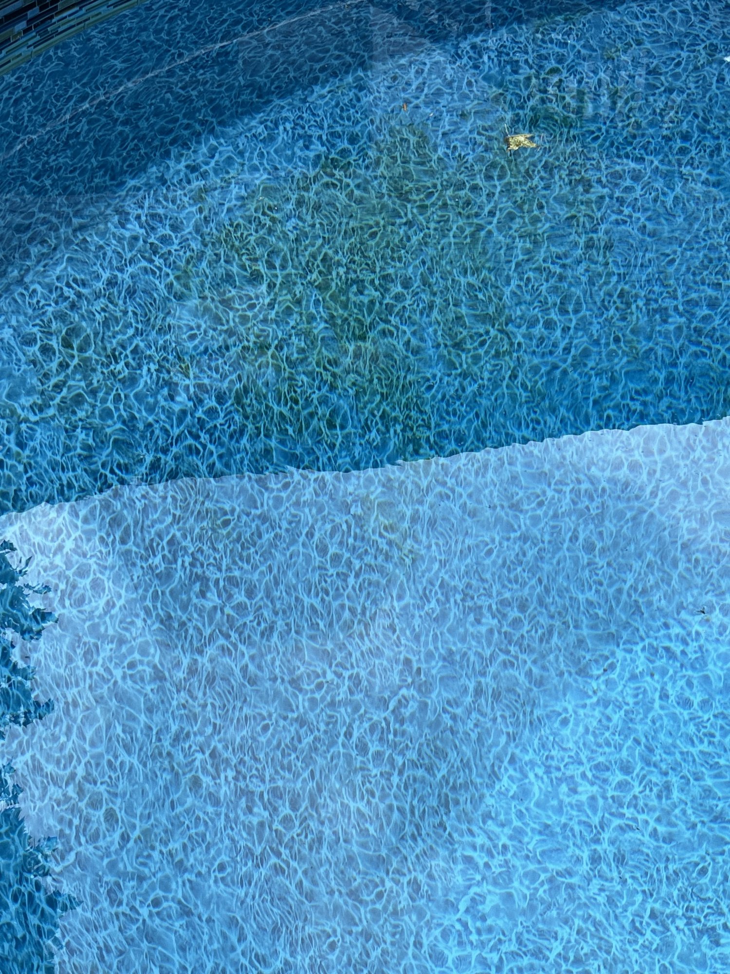 IMG_4994.jpeg