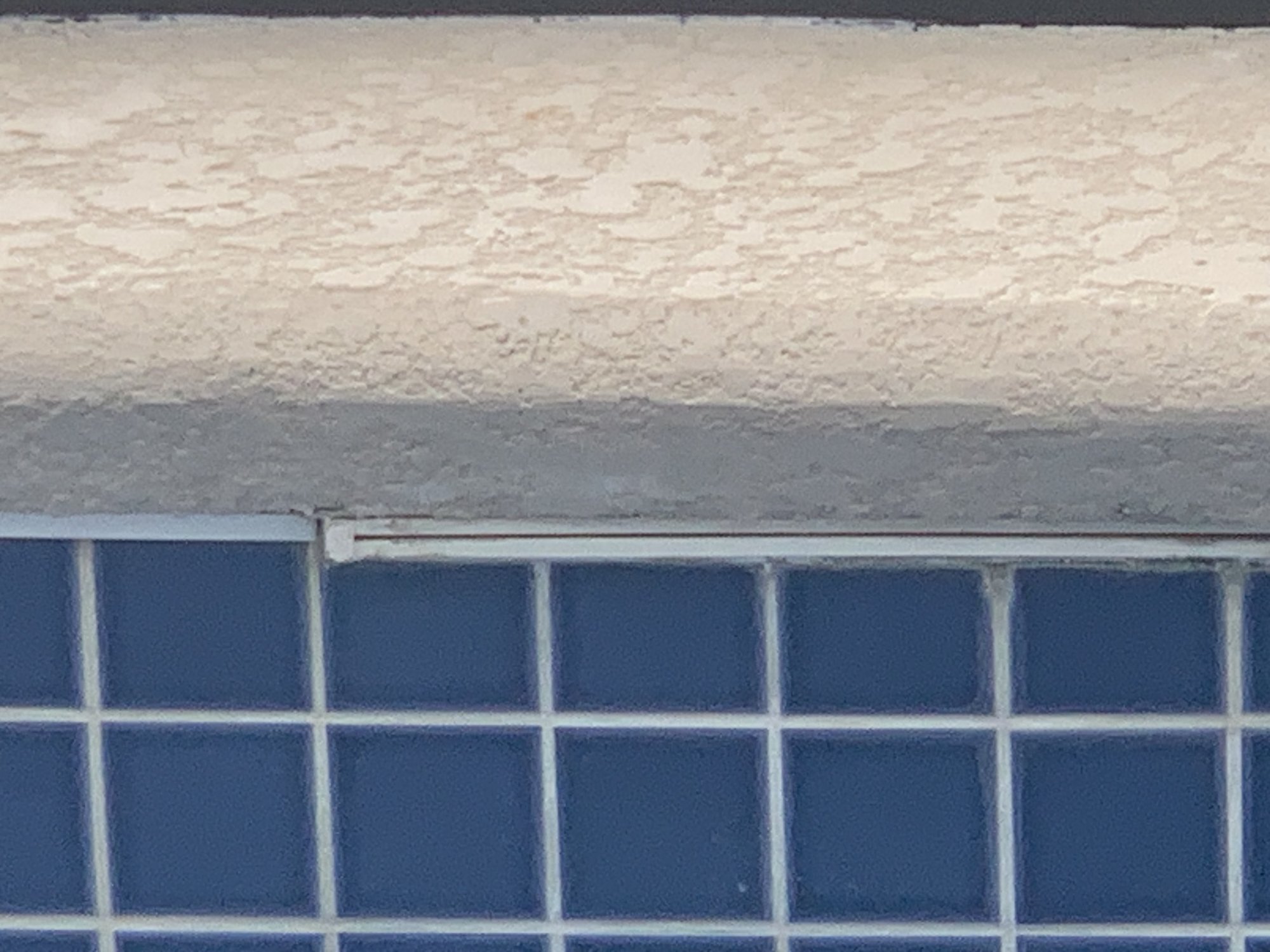 IMG_5136.jpeg