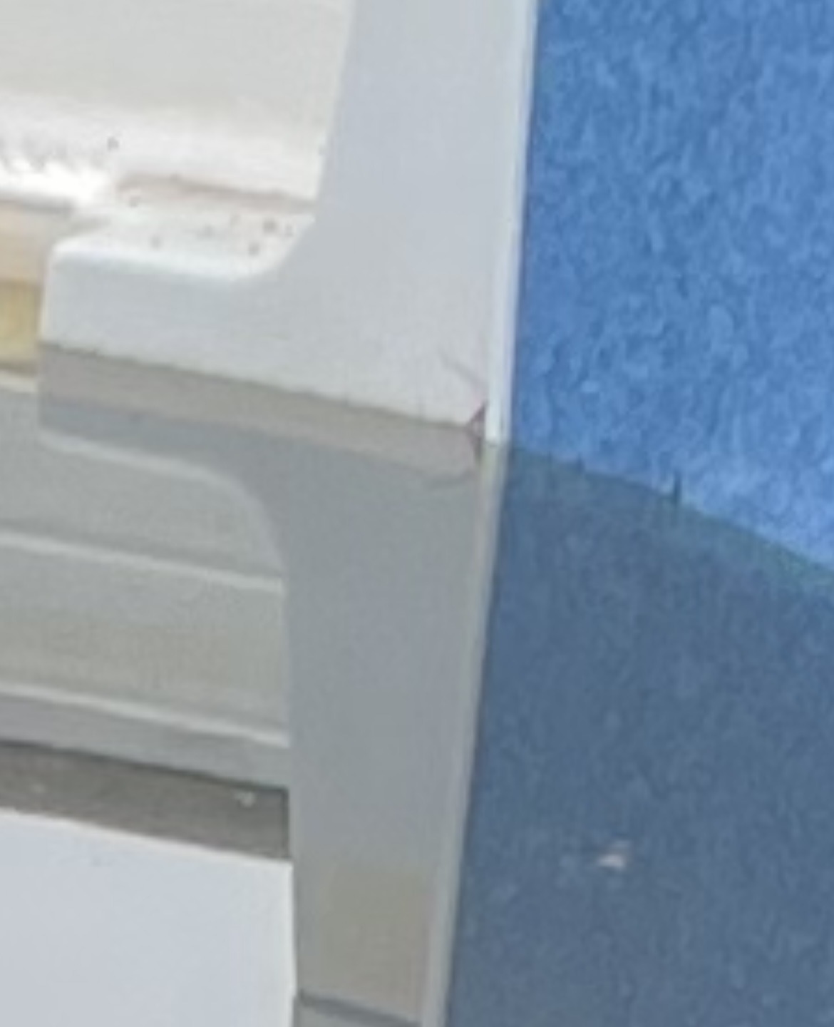 IMG_5251.jpeg