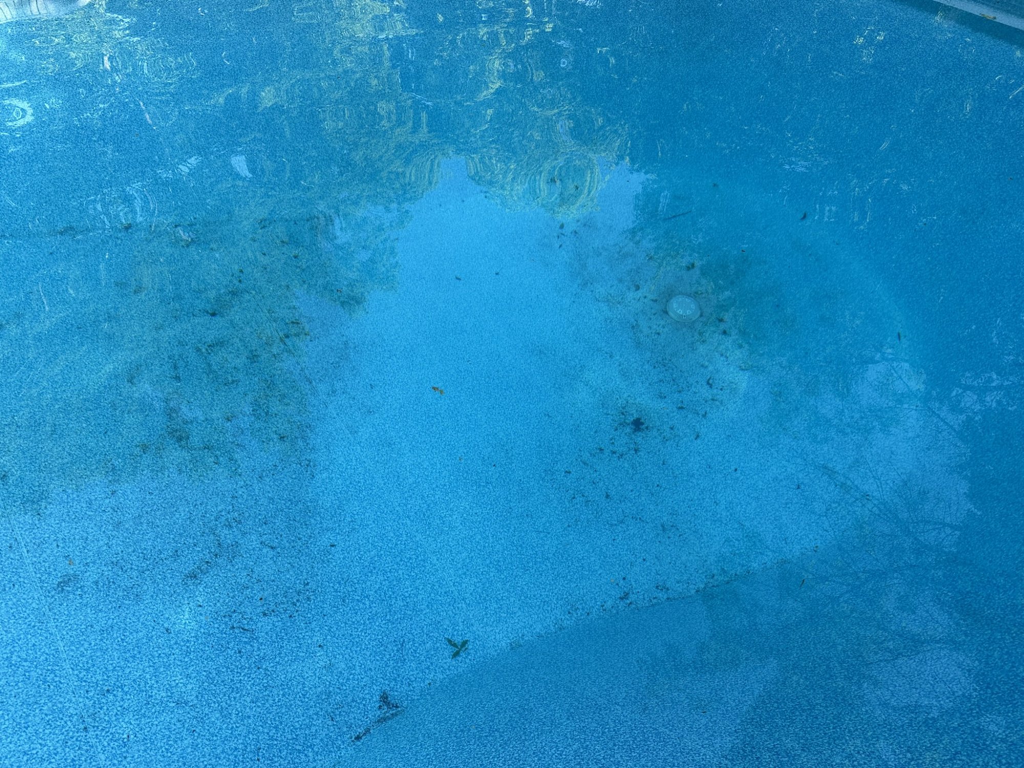 IMG_5474.JPEG