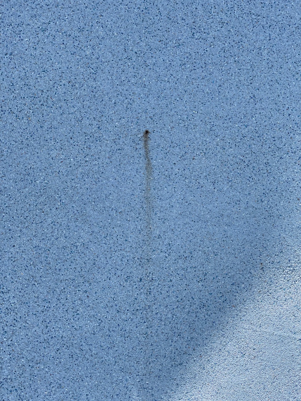 IMG_5490D.jpeg