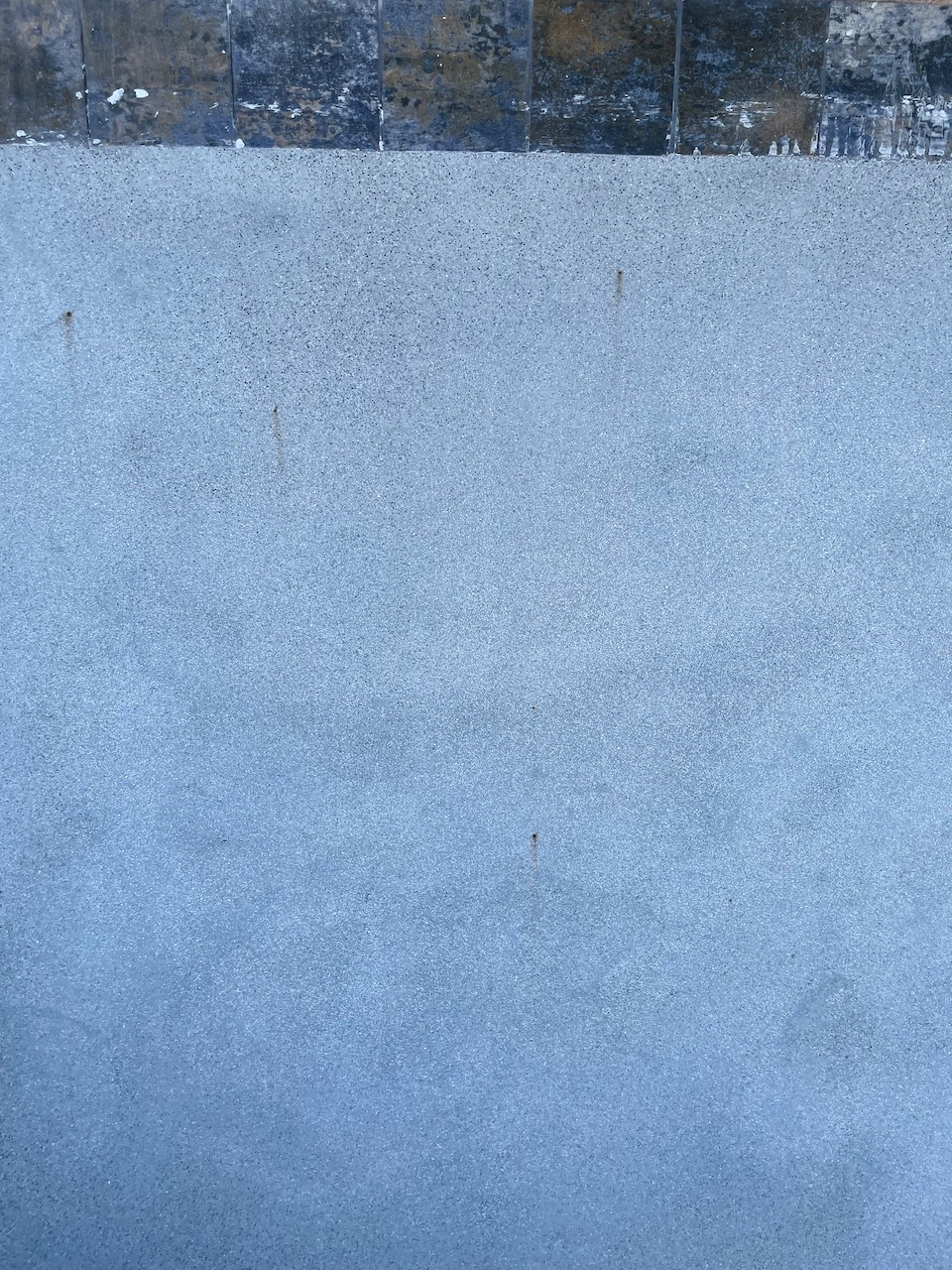 IMG_5491.jpeg