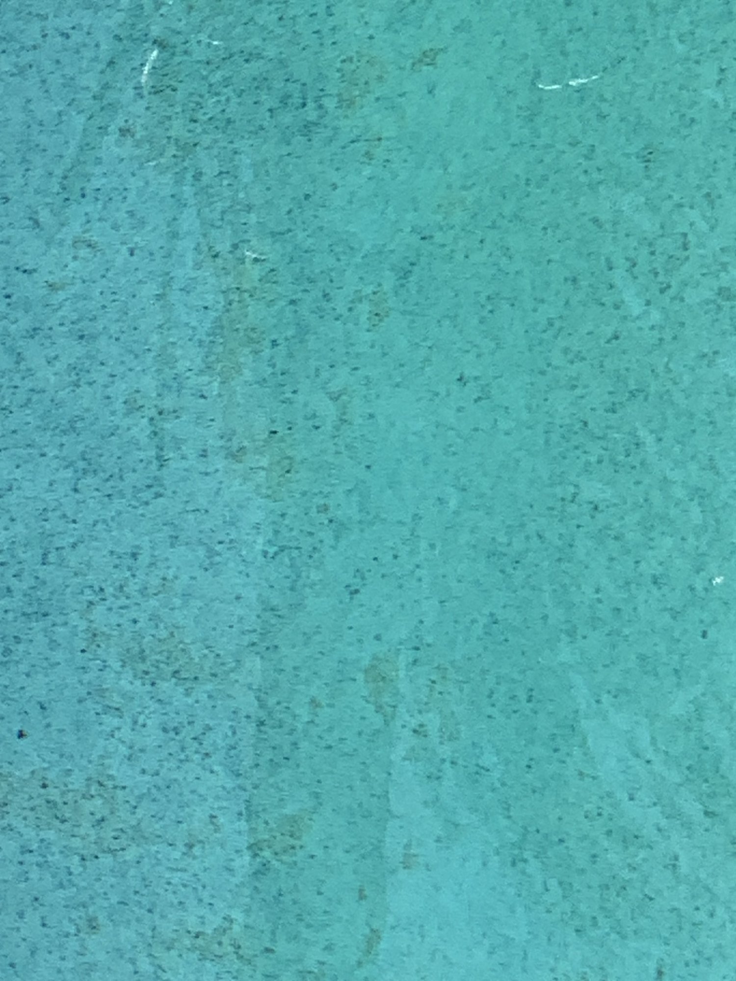 IMG_5809.jpeg