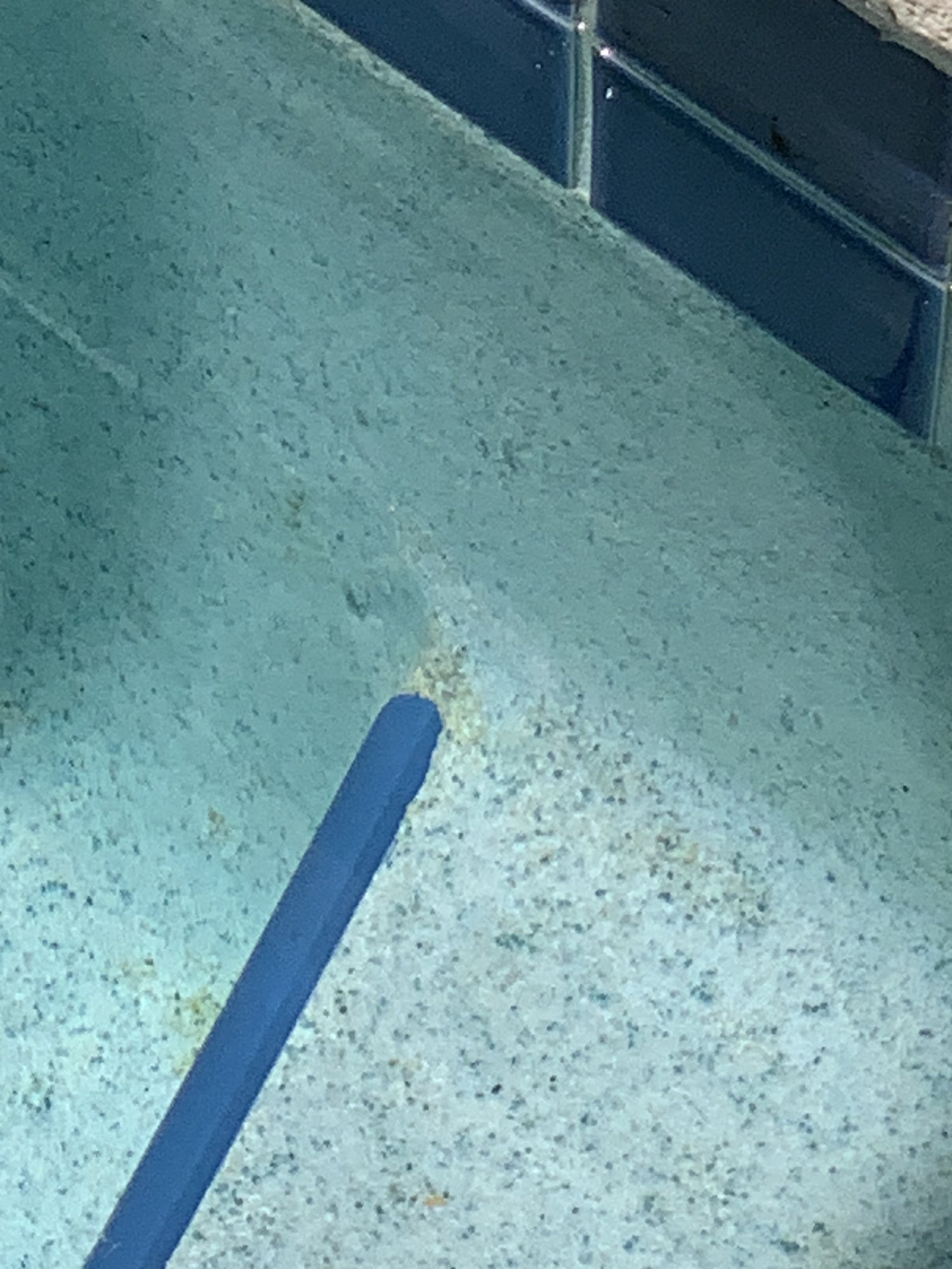 IMG_5810.jpeg