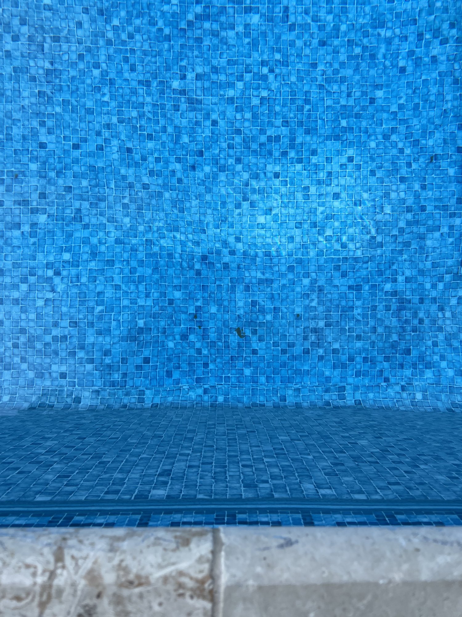IMG_5944.jpeg