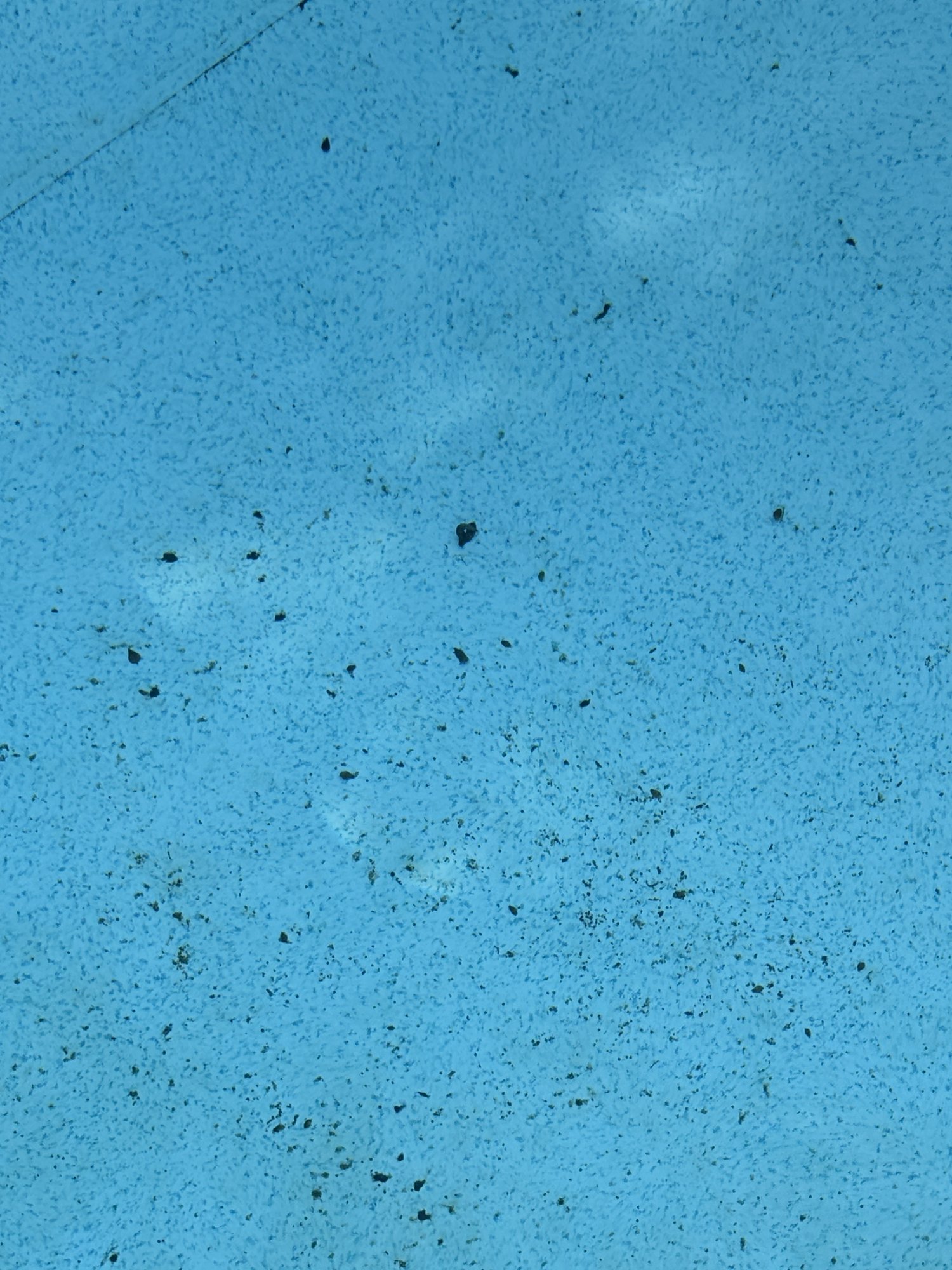 IMG_5968.jpeg