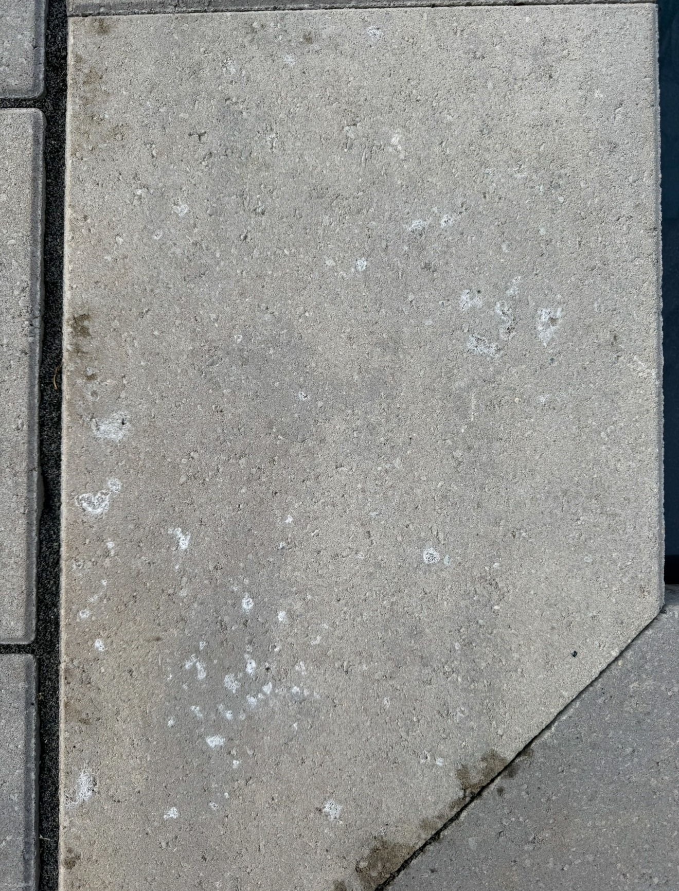 IMG_6029.jpeg