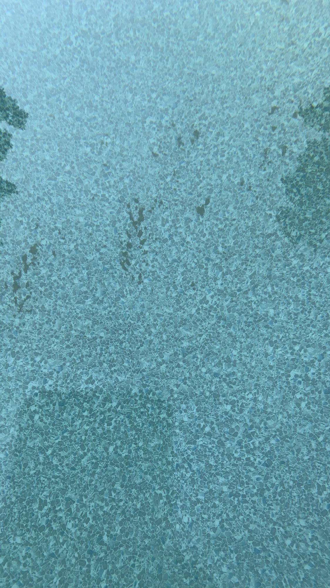 IMG_6183.jpeg