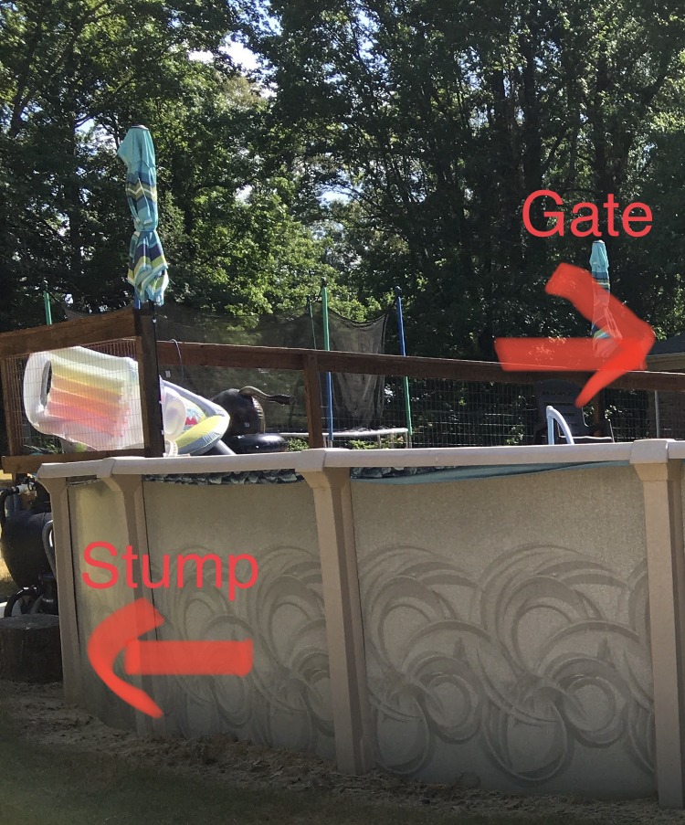IMG_6254.jpeg