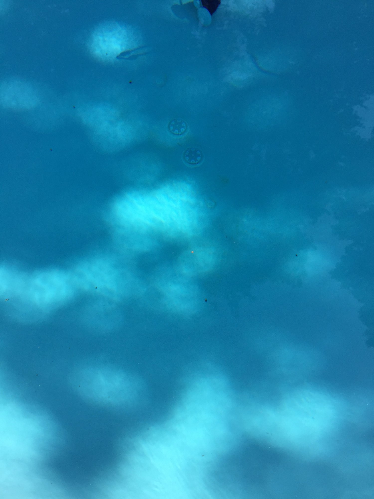 IMG_6644.jpeg