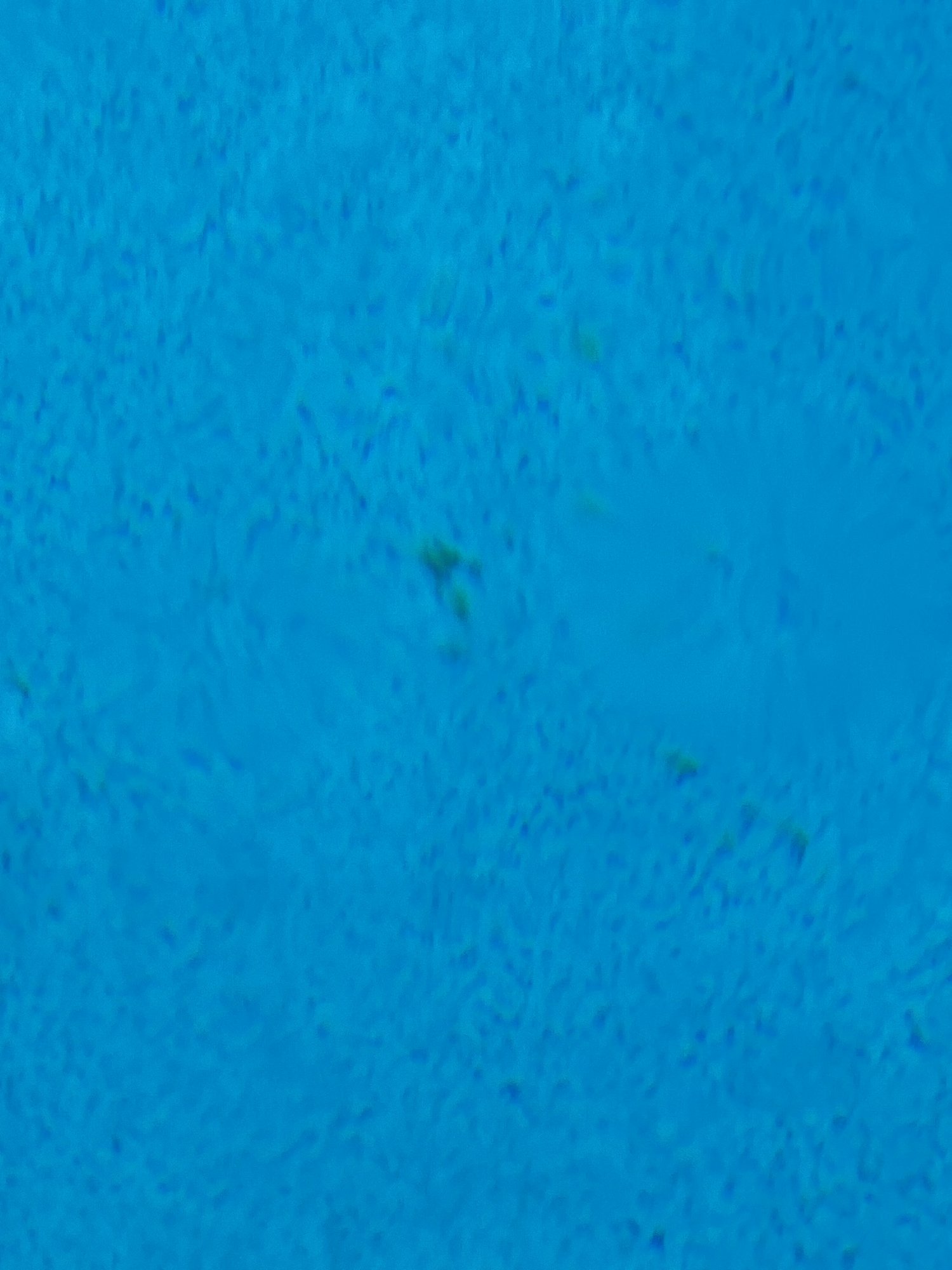 IMG_6960.jpeg
