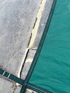 IMG_6993.jpeg