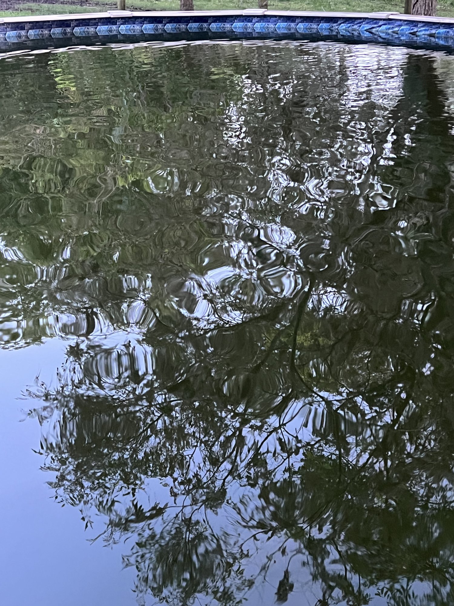 IMG_7186.jpeg