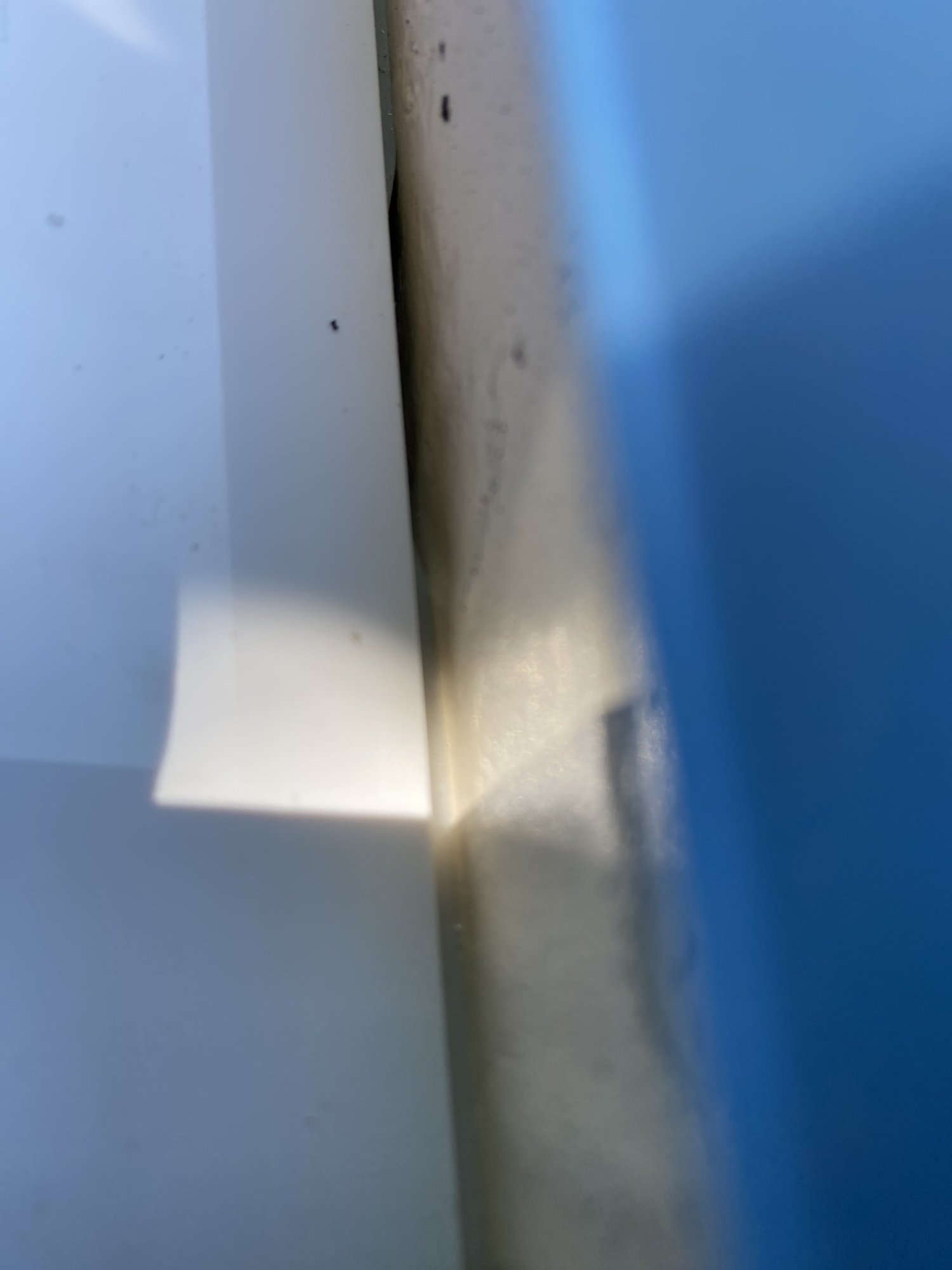 IMG_7238.jpeg