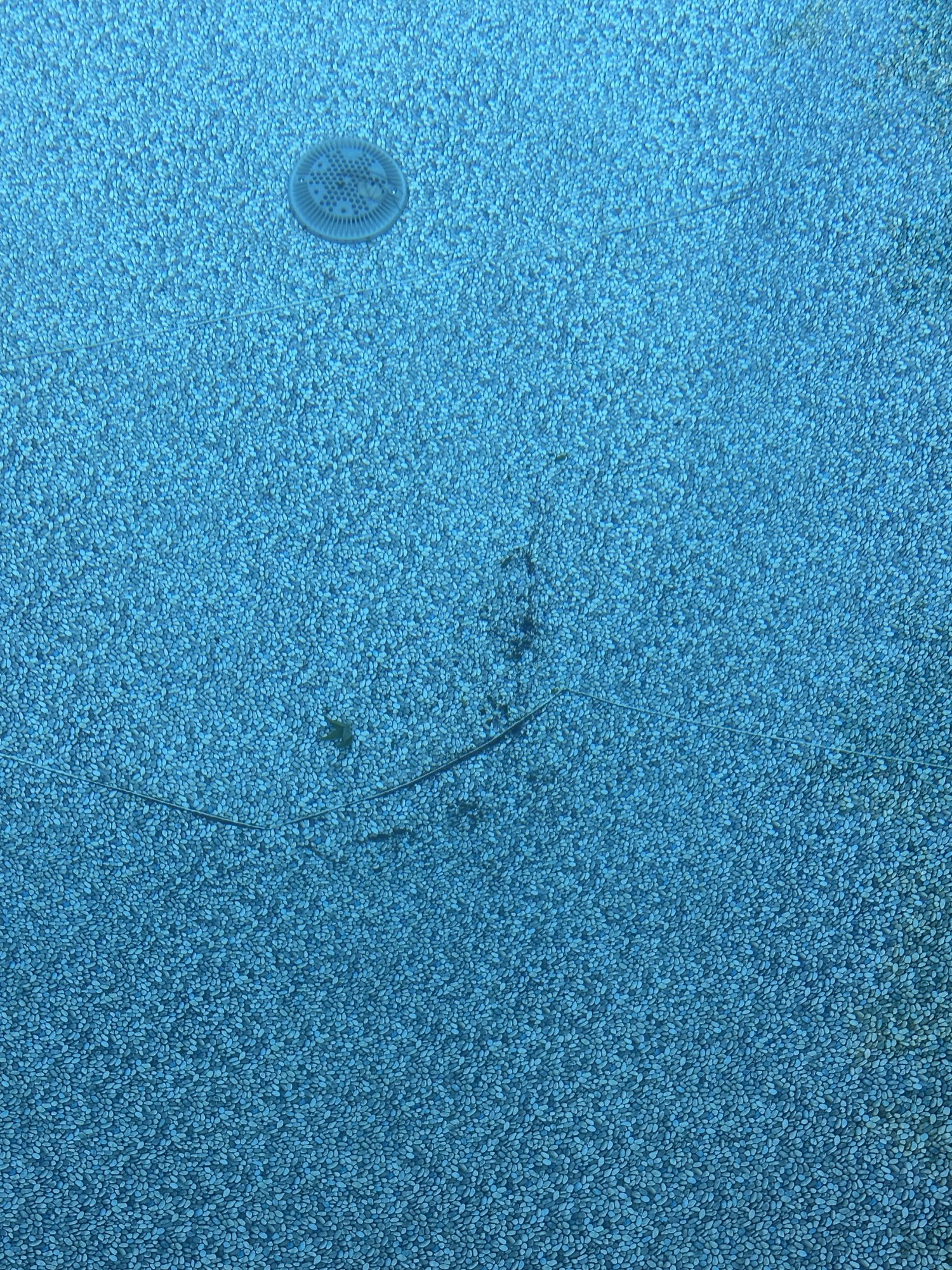 IMG_7280.jpeg