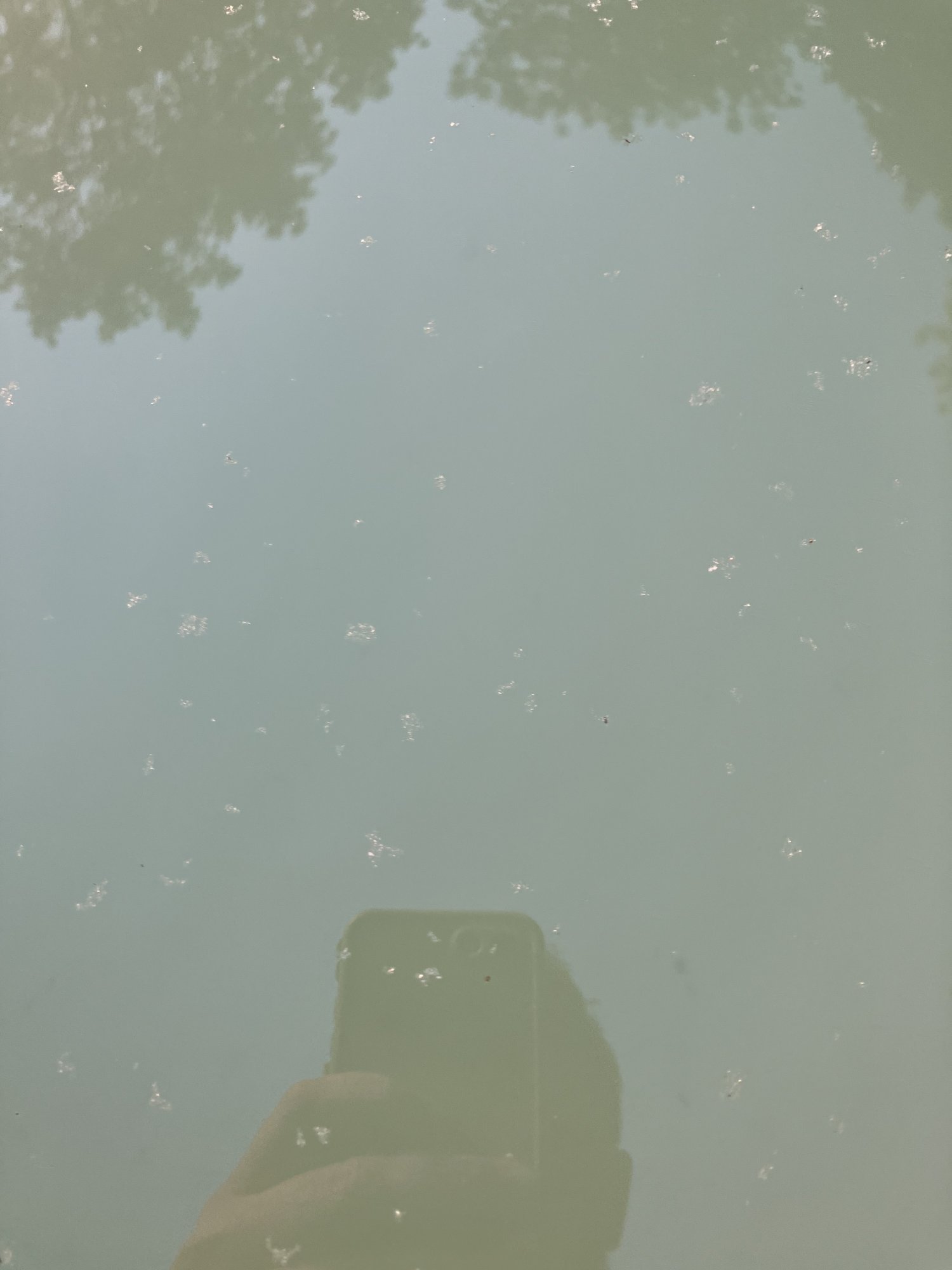 IMG_7360.jpeg
