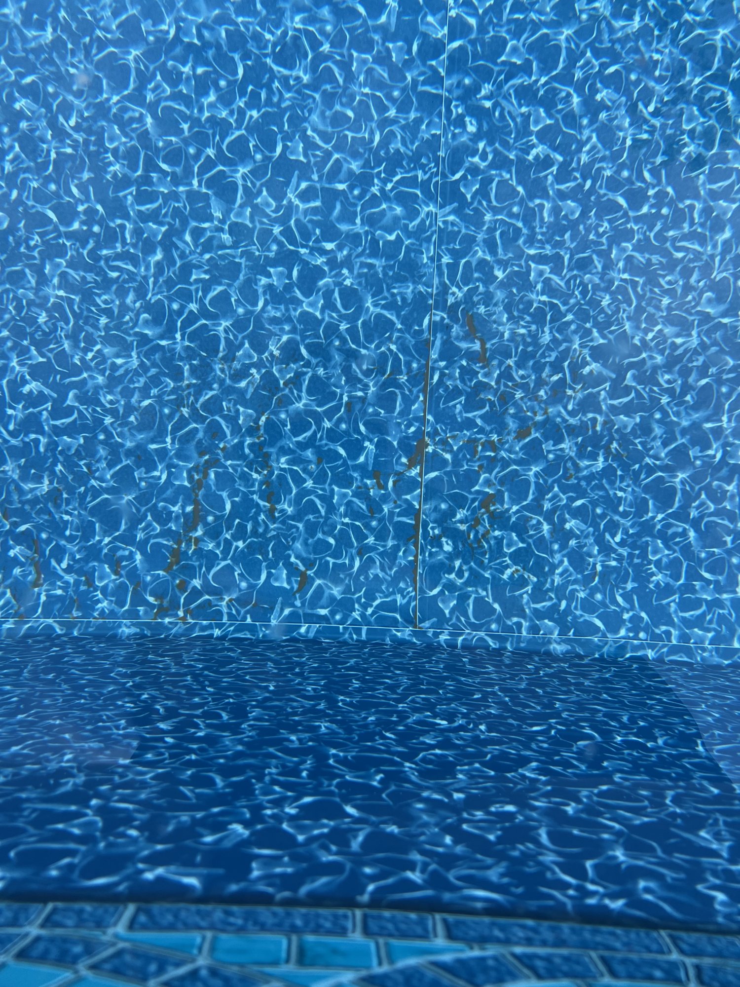 IMG_7393.jpeg