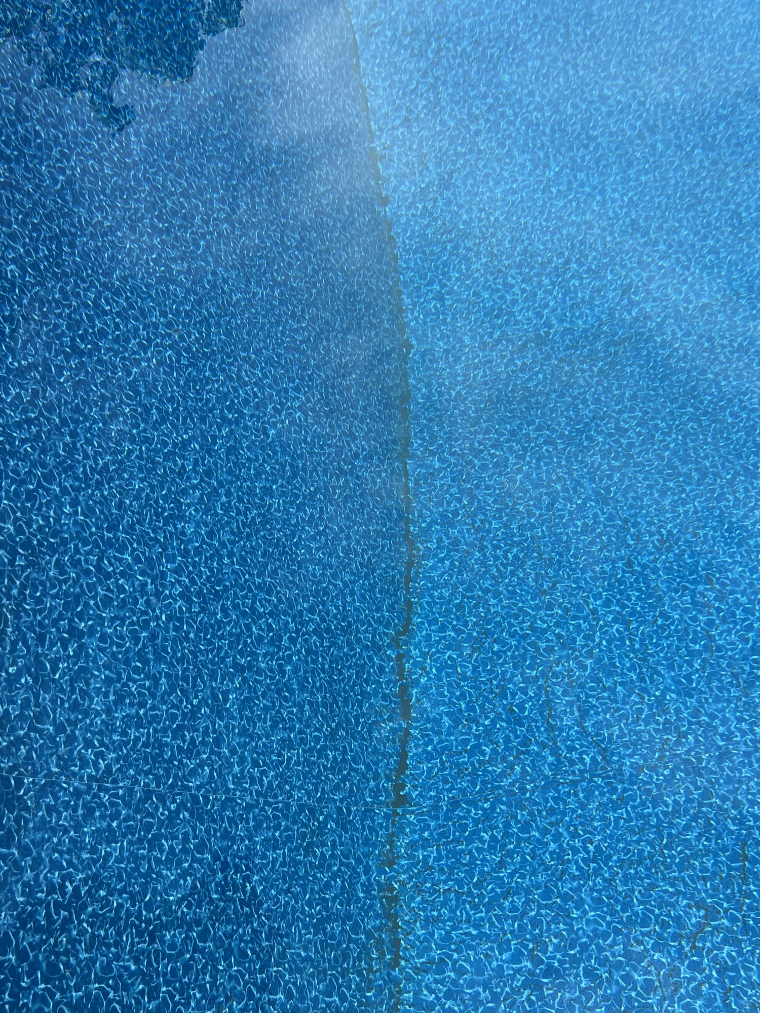 IMG_7395.jpeg