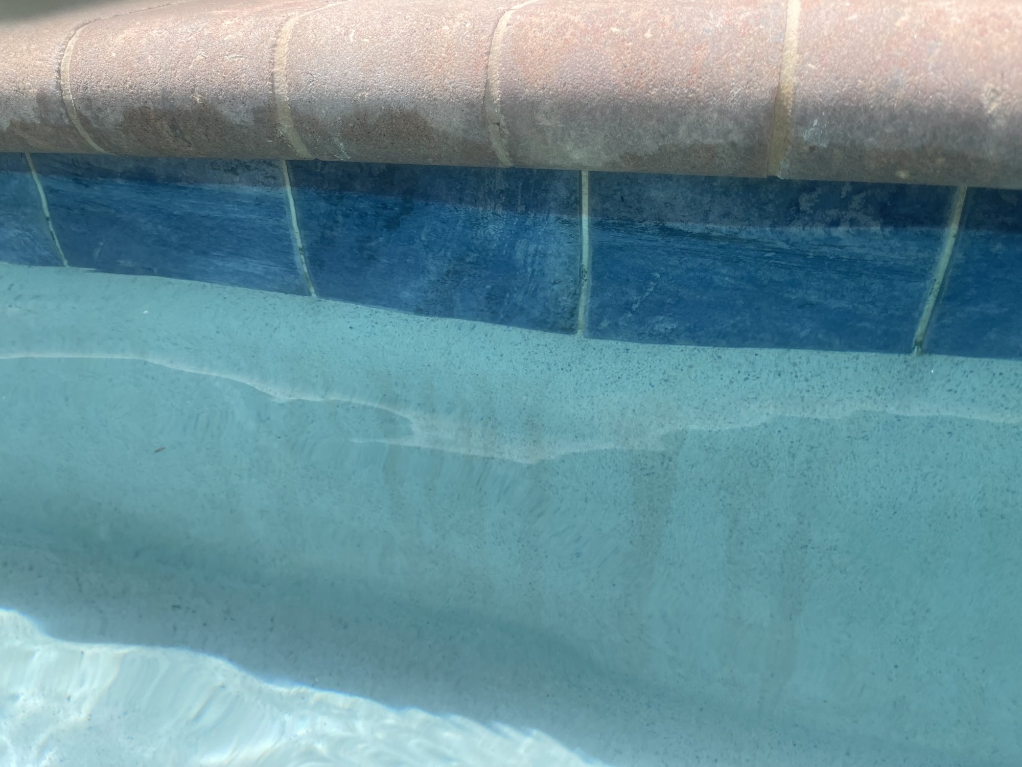 IMG_7421.jpeg