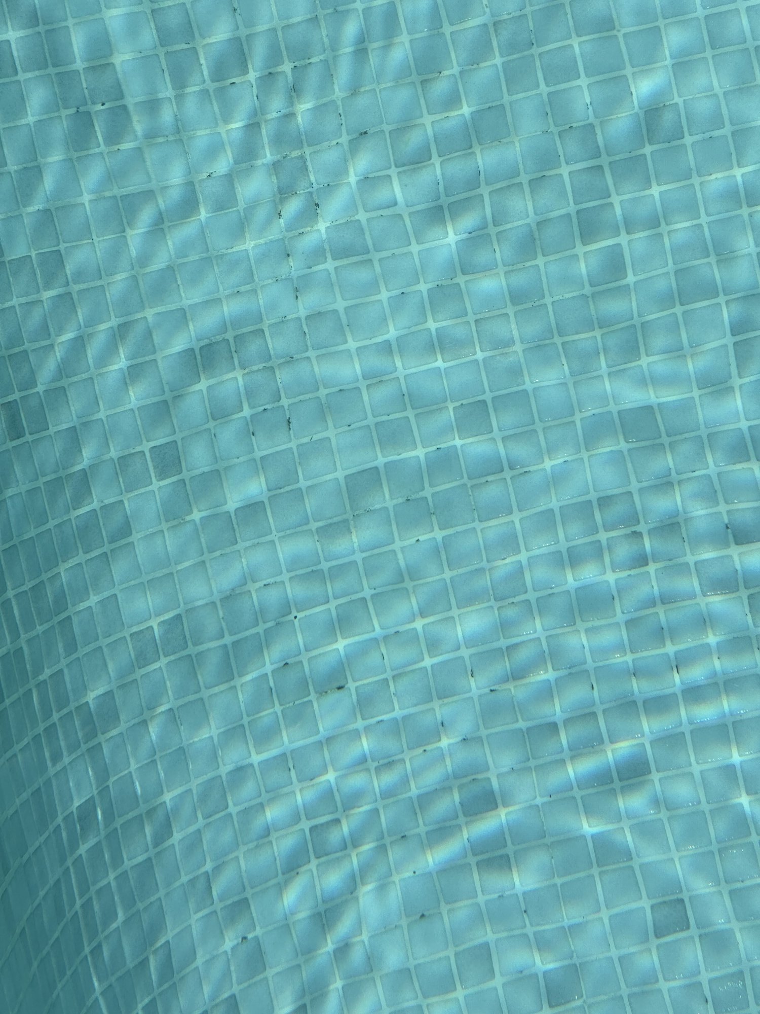 IMG_7461.jpeg