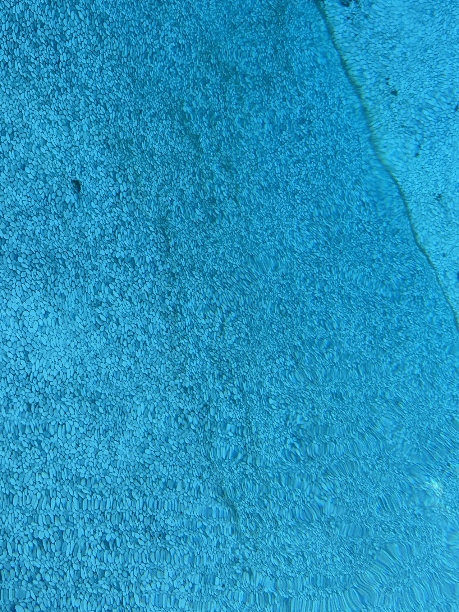 IMG_7538.jpeg