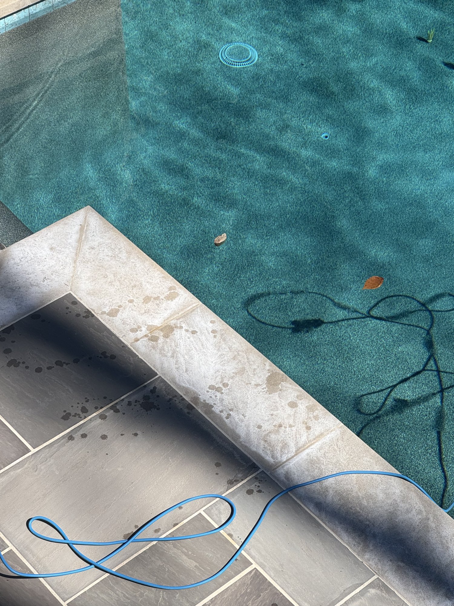IMG_7621.jpeg
