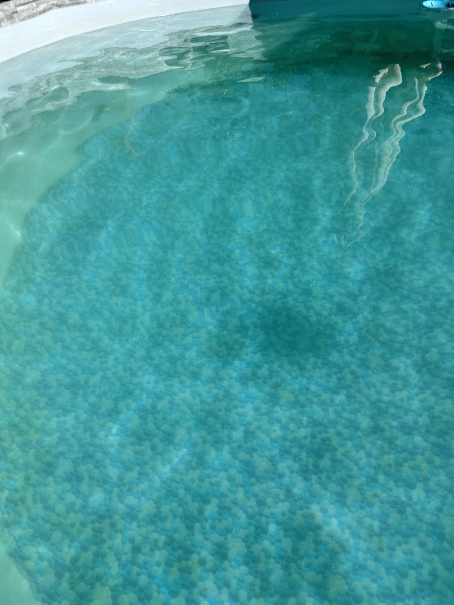 IMG_7873.jpeg