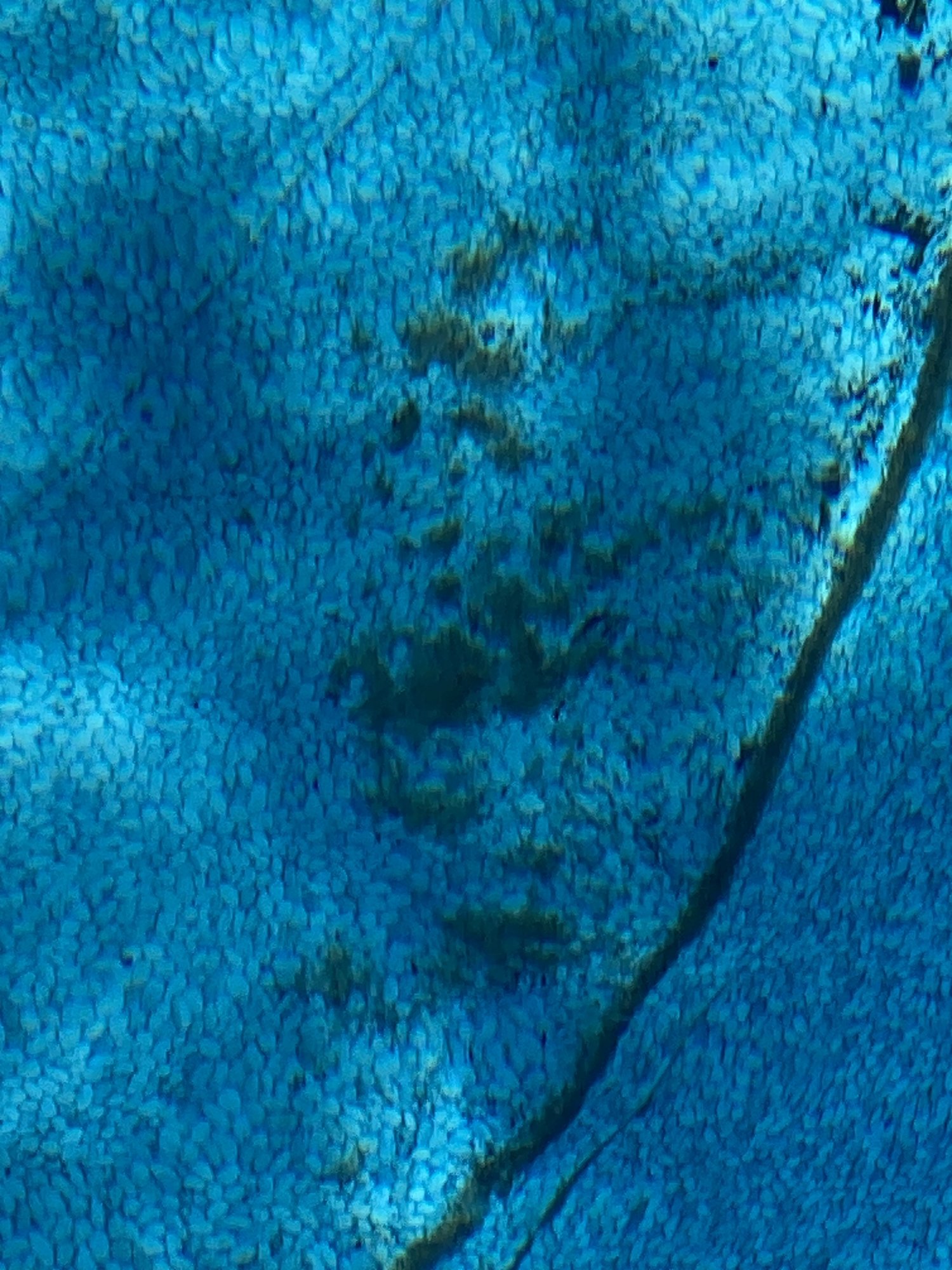 IMG_7928.jpeg