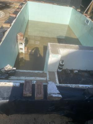 IMG_7956.jpeg