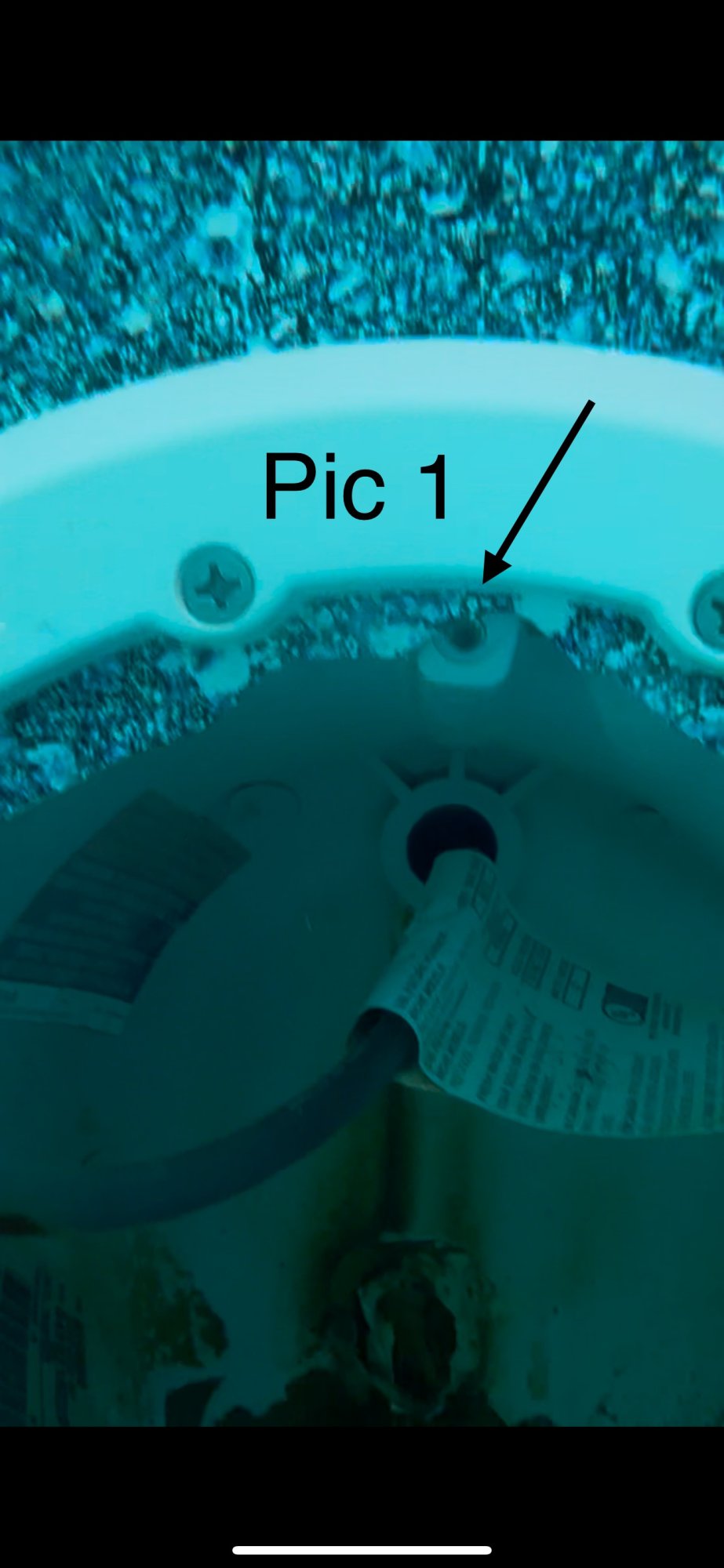 IMG_7989.jpeg